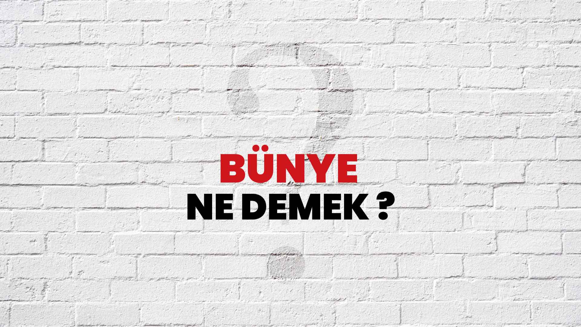Bünye Ne Demek, Ne Anlama Gelir? Bünye Kelimesi TDK Sözlük Anlamı Nedir?