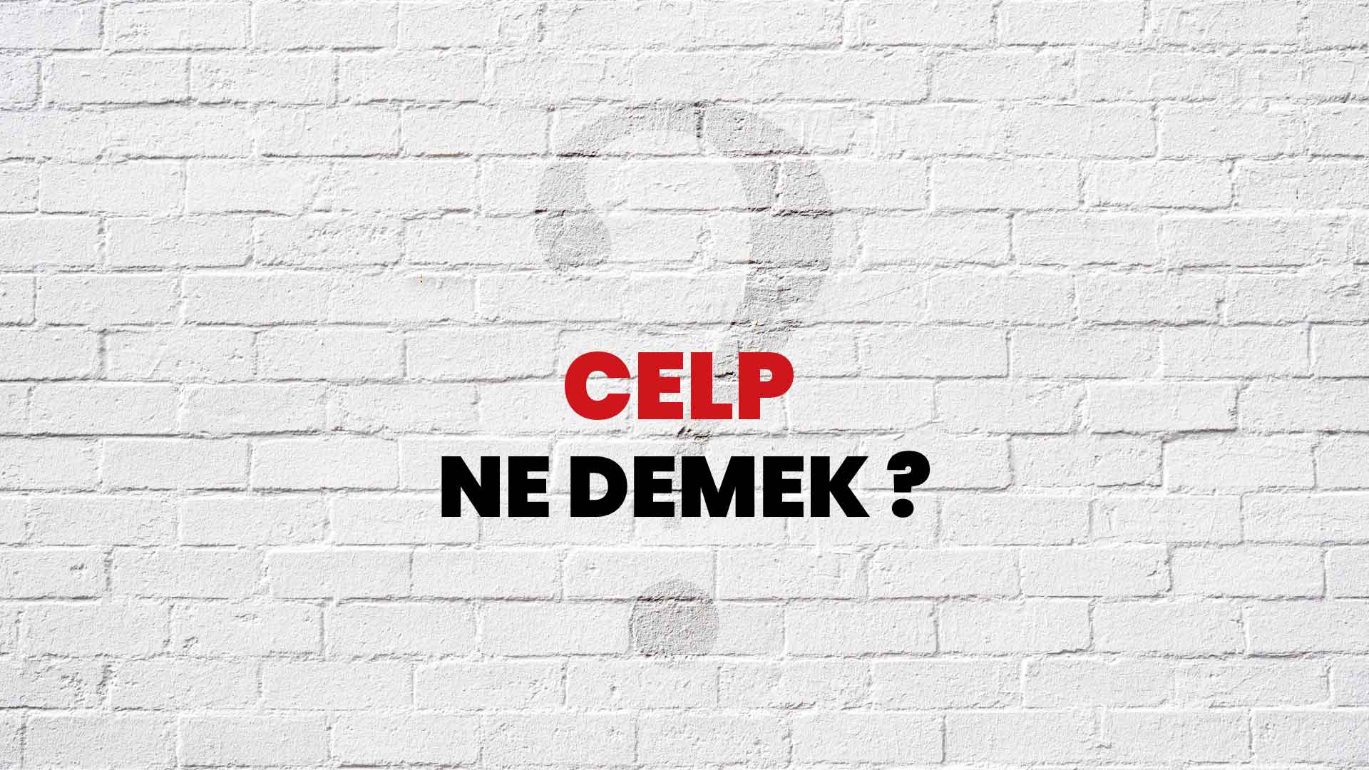 Celp Ne Demek, Ne Anlama Gelir? Celp Kelimesi TDK Sözlük Anlamı Nedir?