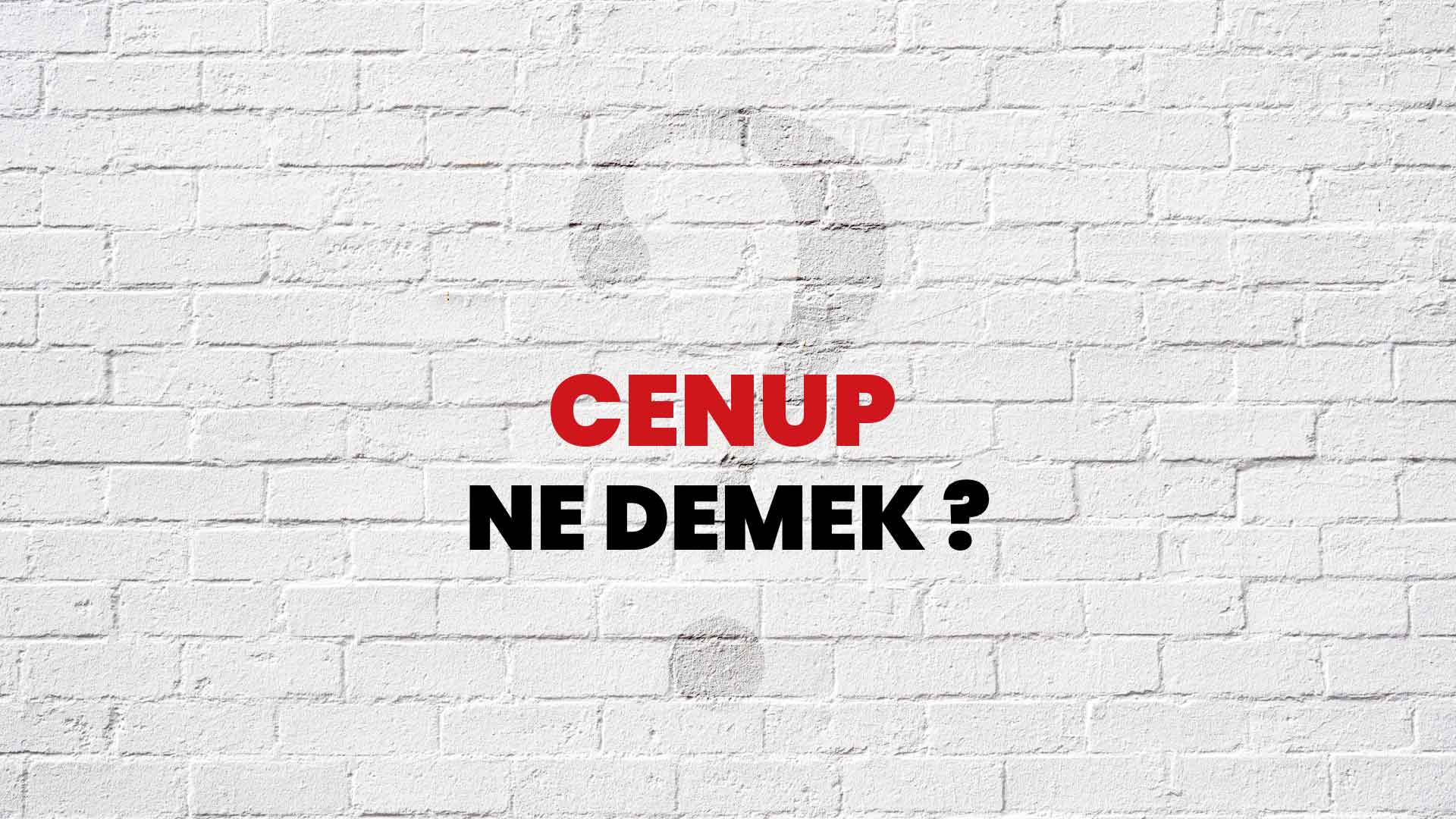 Cenup Ne Demek, Ne Anlama Gelir? Cenup Kelimesi TDK Sözlük Anlamı Nedir?