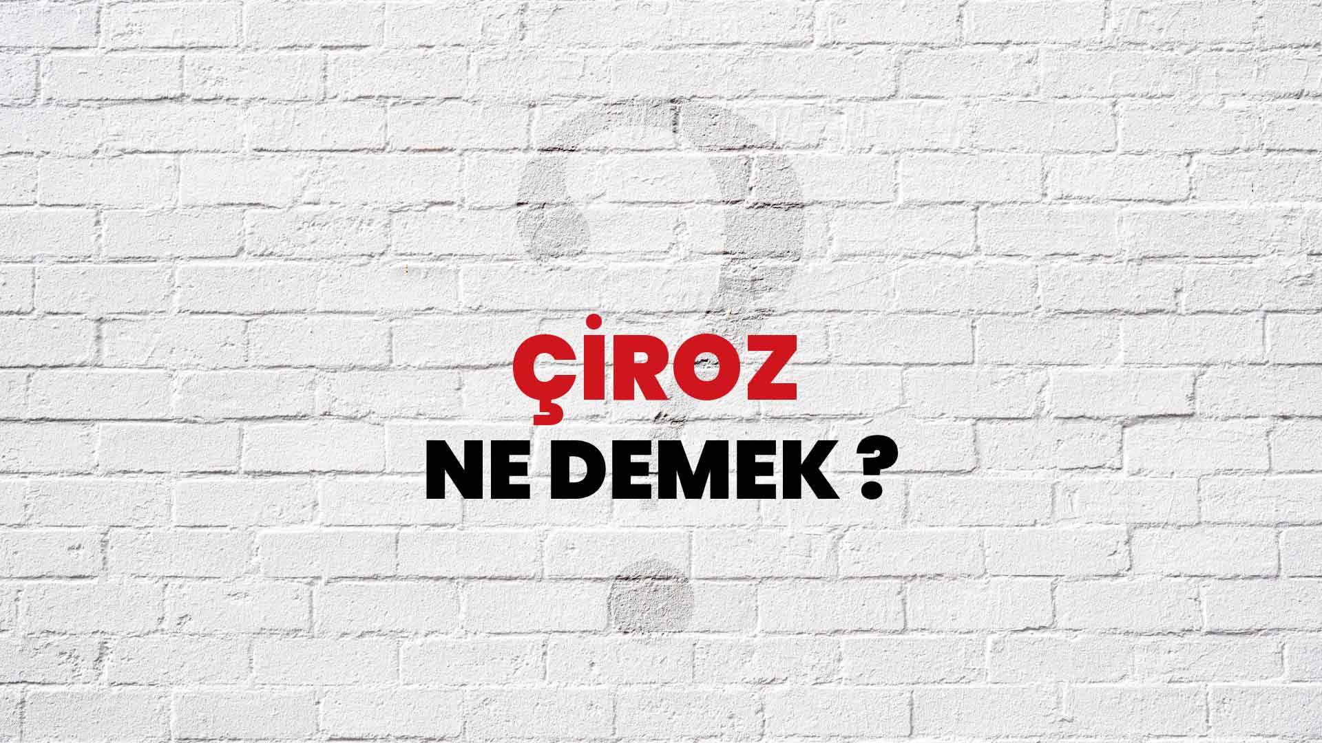 Çiroz Ne Demek, Ne Anlama Gelir? Çiroz Kelimesi TDK Sözlük Anlamı Nedir?