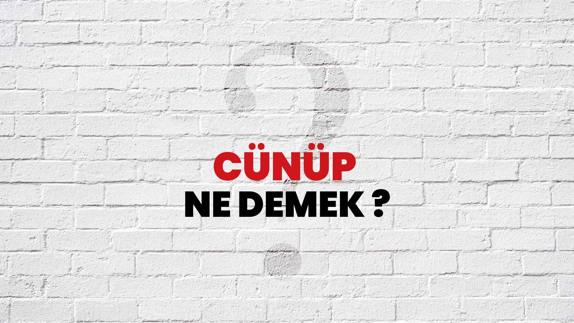 Cünüp Ne Demek, Ne Anlama Gelir? Cünüp Kelimesi TDK Sözlük Anlamı Nedir? -  Habertürk