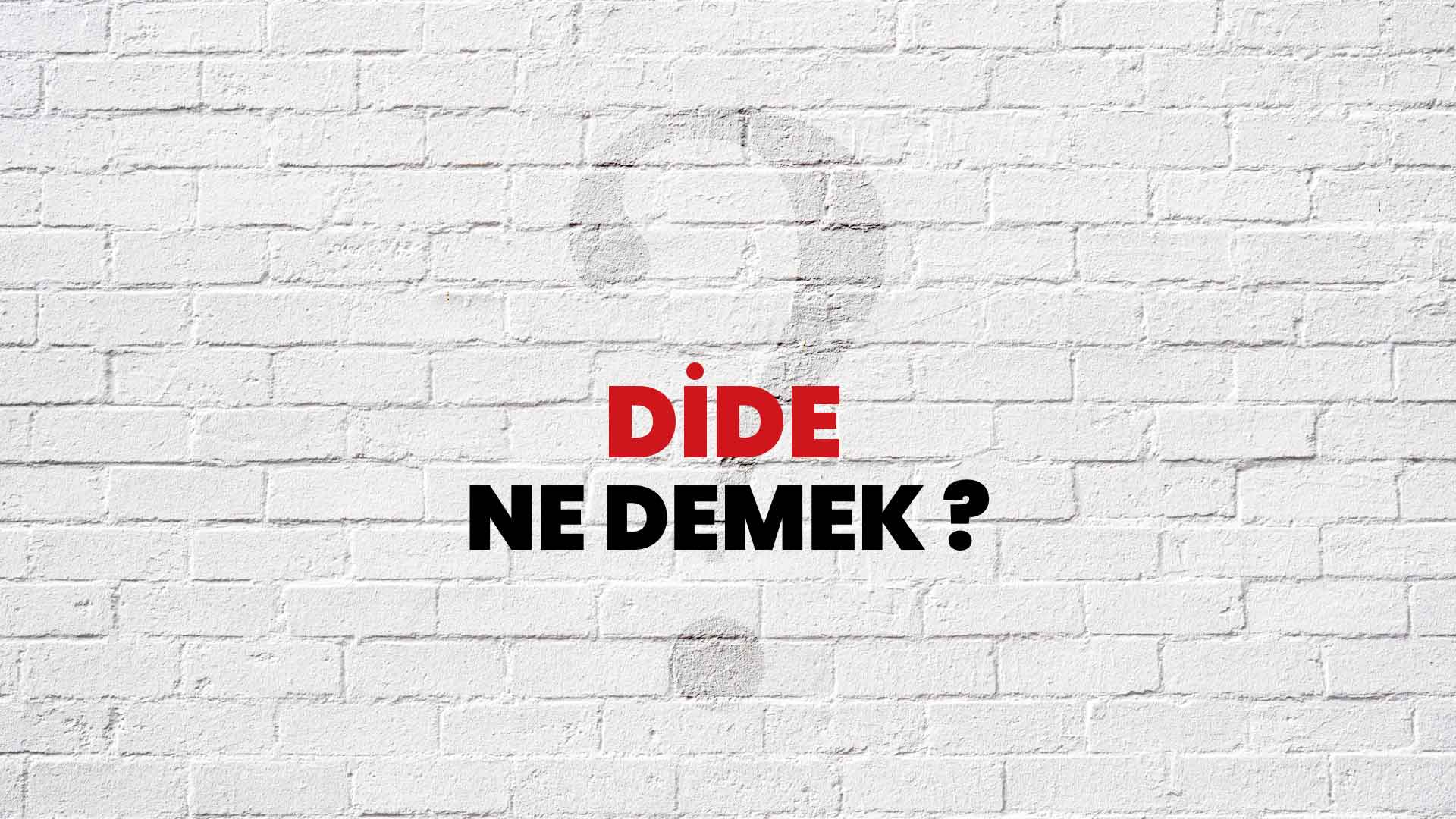 Dide Ne Demek, Ne Anlama Gelir? Dide Kelimesi TDK Sözlük Anlamı Nedir?
