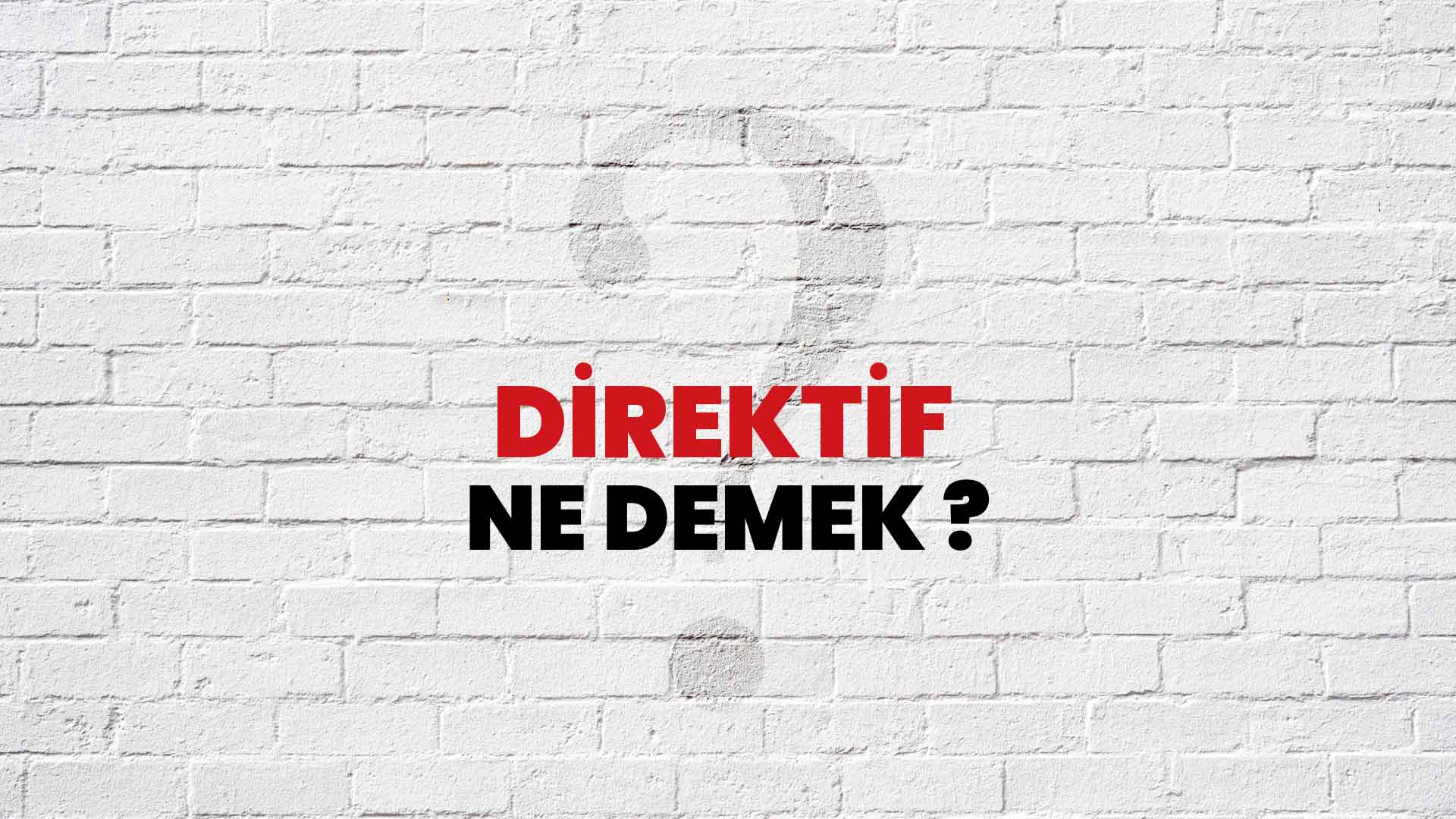 Direktif Ne Demek, Ne Anlama Gelir? Direktif Kelimesi TDK Sözlük Anlamı Nedir?