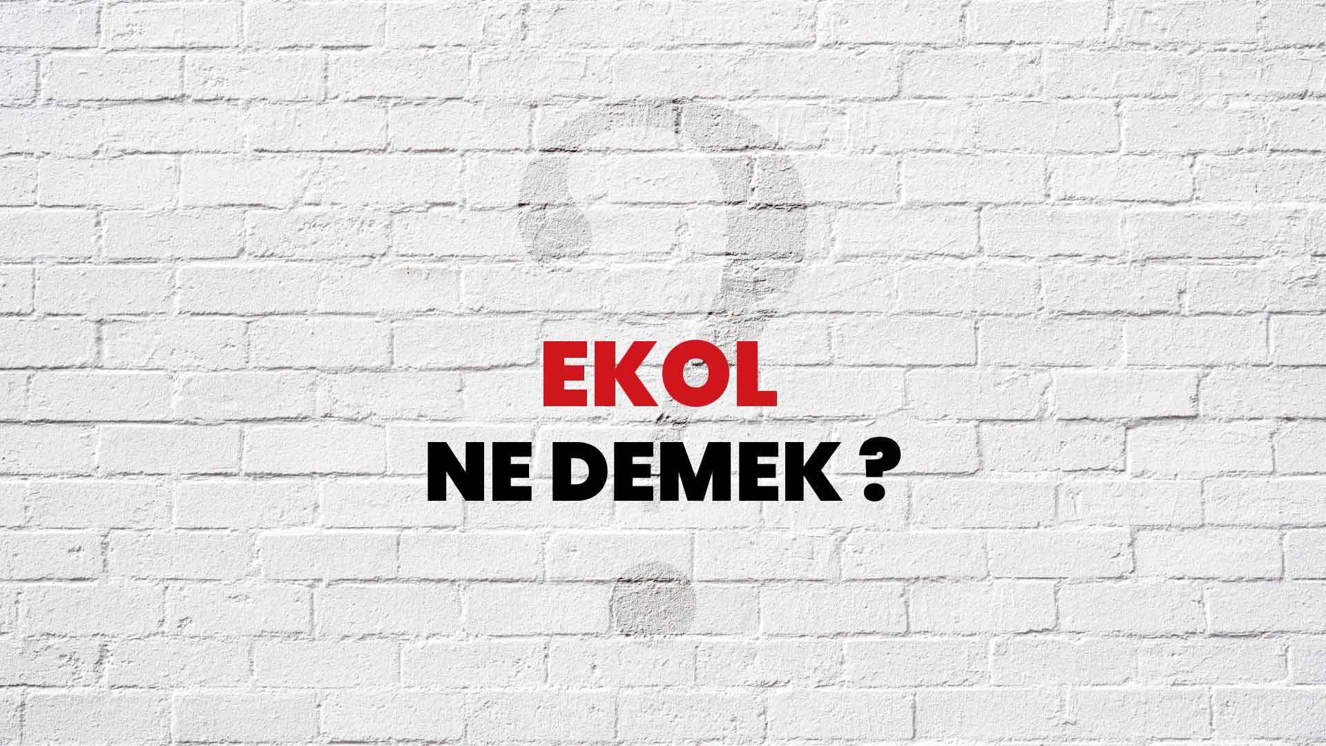 Ekol Ne Demek, Ne Anlama Gelir? Ekol Kelimesi TDK Sözlük Anlamı Nedir?
