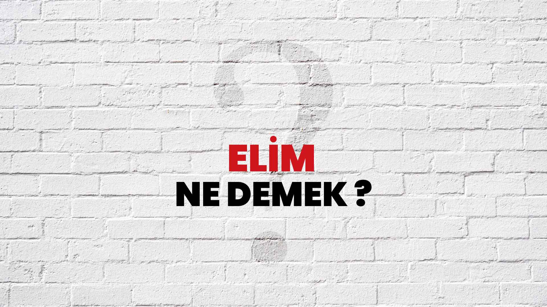 Elim Ne Demek, Ne Anlama Gelir? Elim Kelimesi TDK Sözlük Anlamı Nedir?