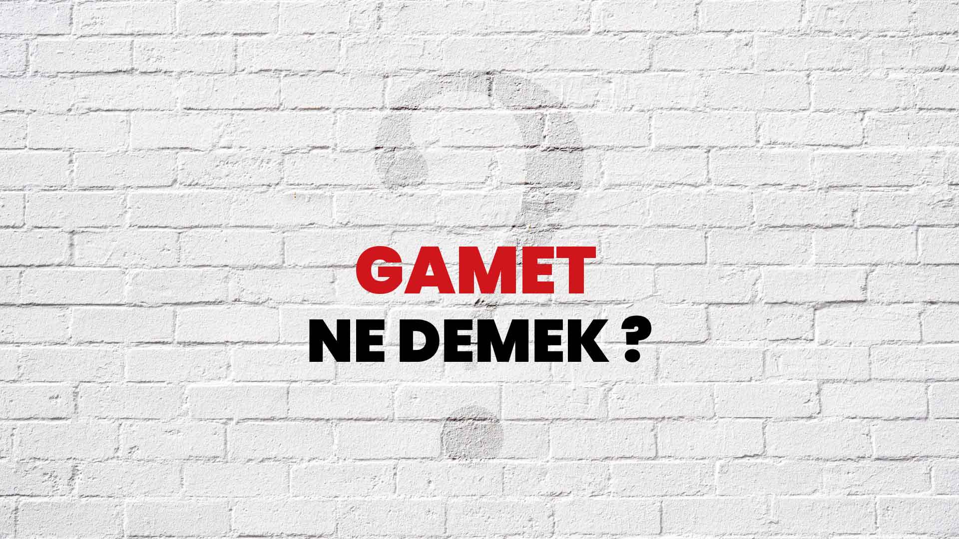 Gamet Ne Demek, Ne Anlama Gelir? Gamet Kelimesi TDK Sözlük Anlamı Nedir?