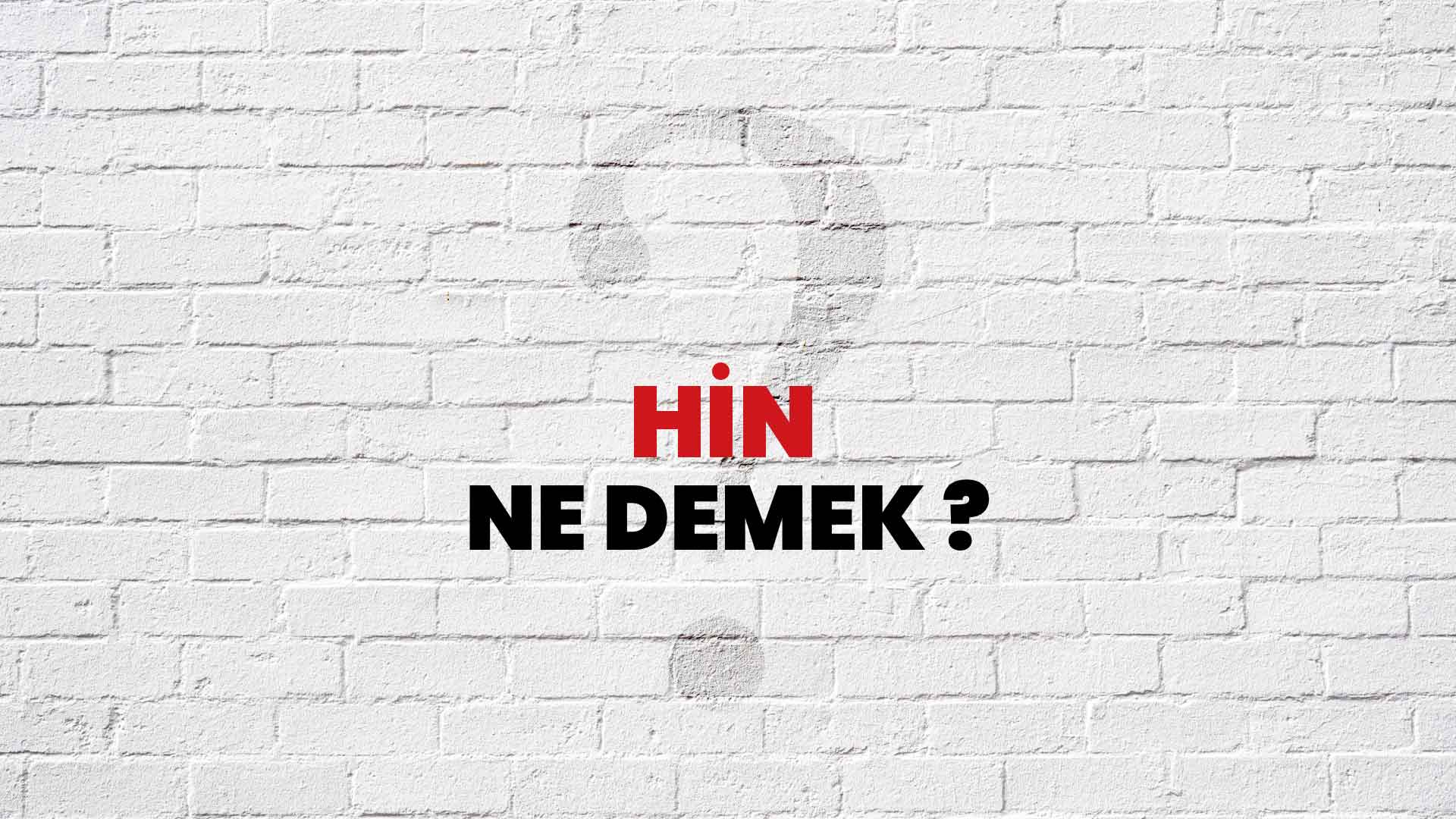 Hin Ne Demek, Ne Anlama Gelir? Hin Kelimesi TDK Sözlük Anlamı Nedir?