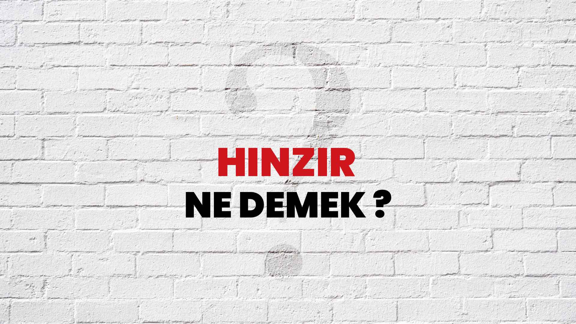 Hınzır Ne Demek, Ne Anlama Gelir? Hınzır Kelimesi TDK Sözlük Anlamı Nedir?