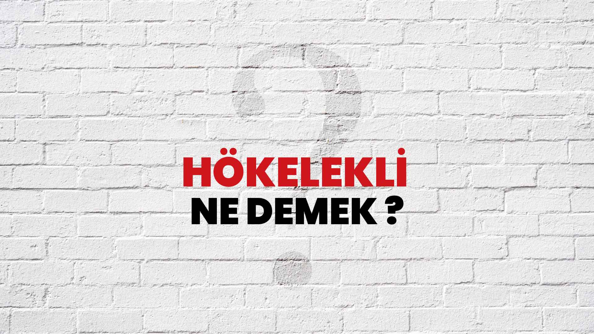 Hökelekli Ne Demek, Ne Anlama Gelir? Hökelekli Kelimesi TDK Sözlük Anlamı Nedir?