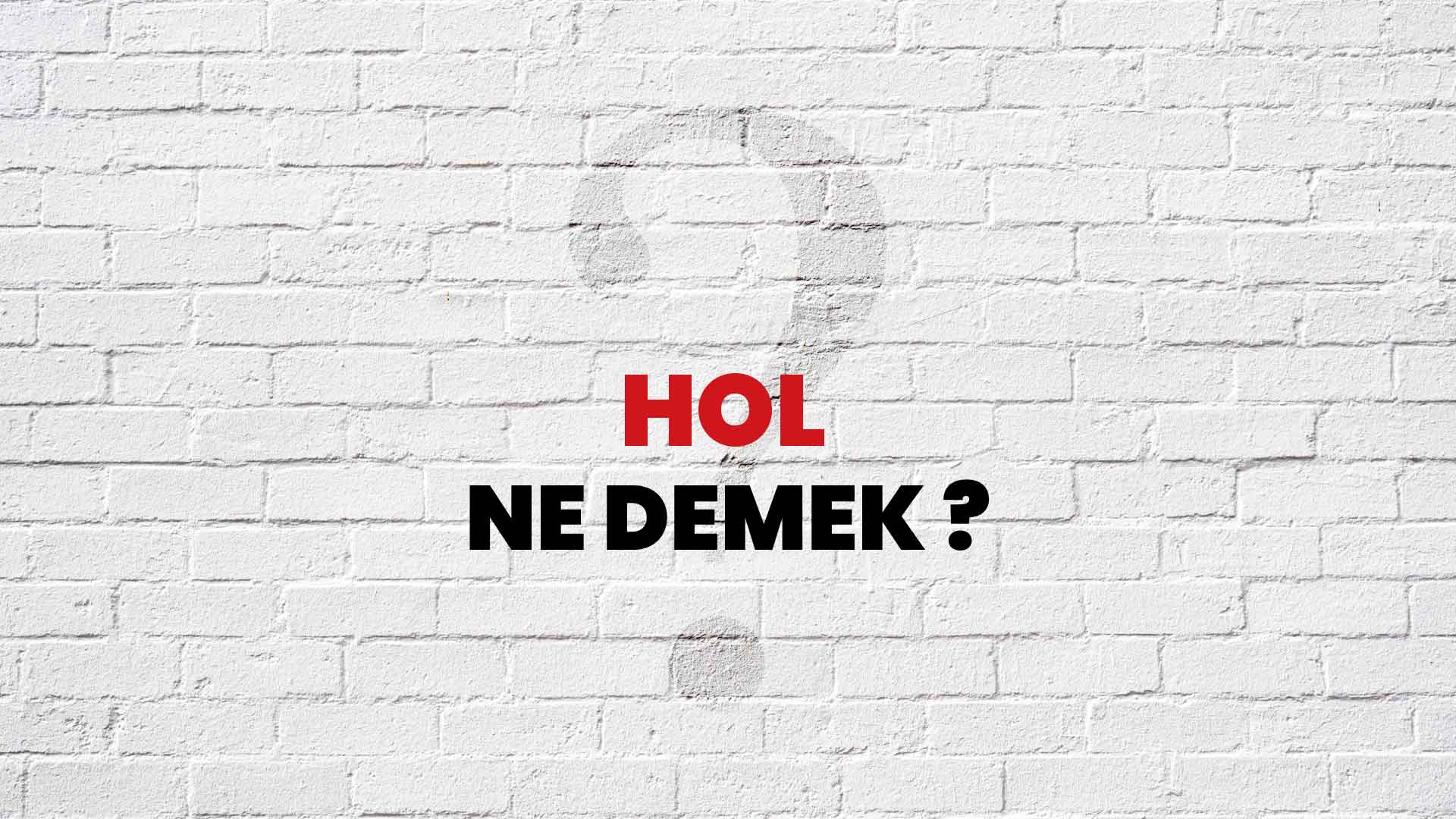 Hol Ne Demek, Ne Anlama Gelir? Hol Kelimesi TDK Sözlük Anlamı Nedir?