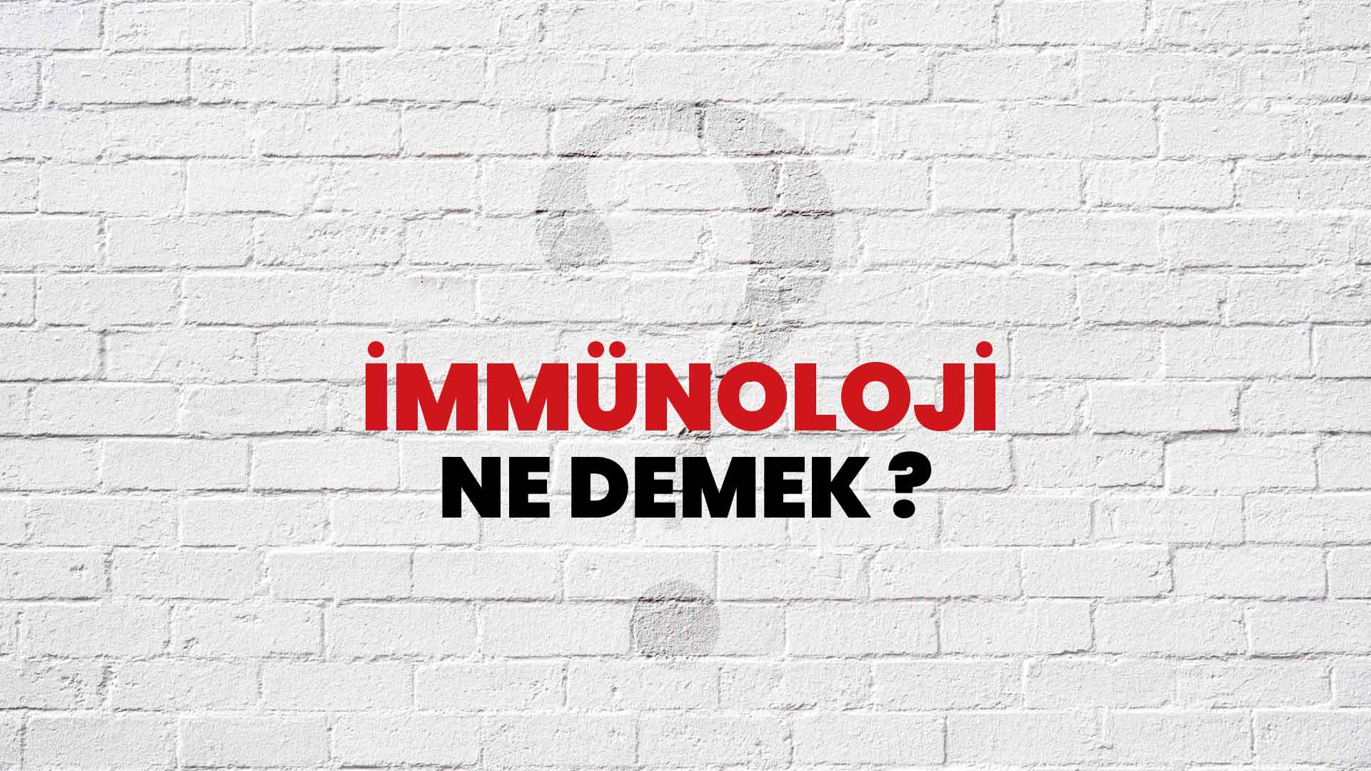 İmmünoloji Ne Demek, Ne Anlama Gelir? İmmünoloji Kelimesi TDK Sözlük Anlamı Nedir?