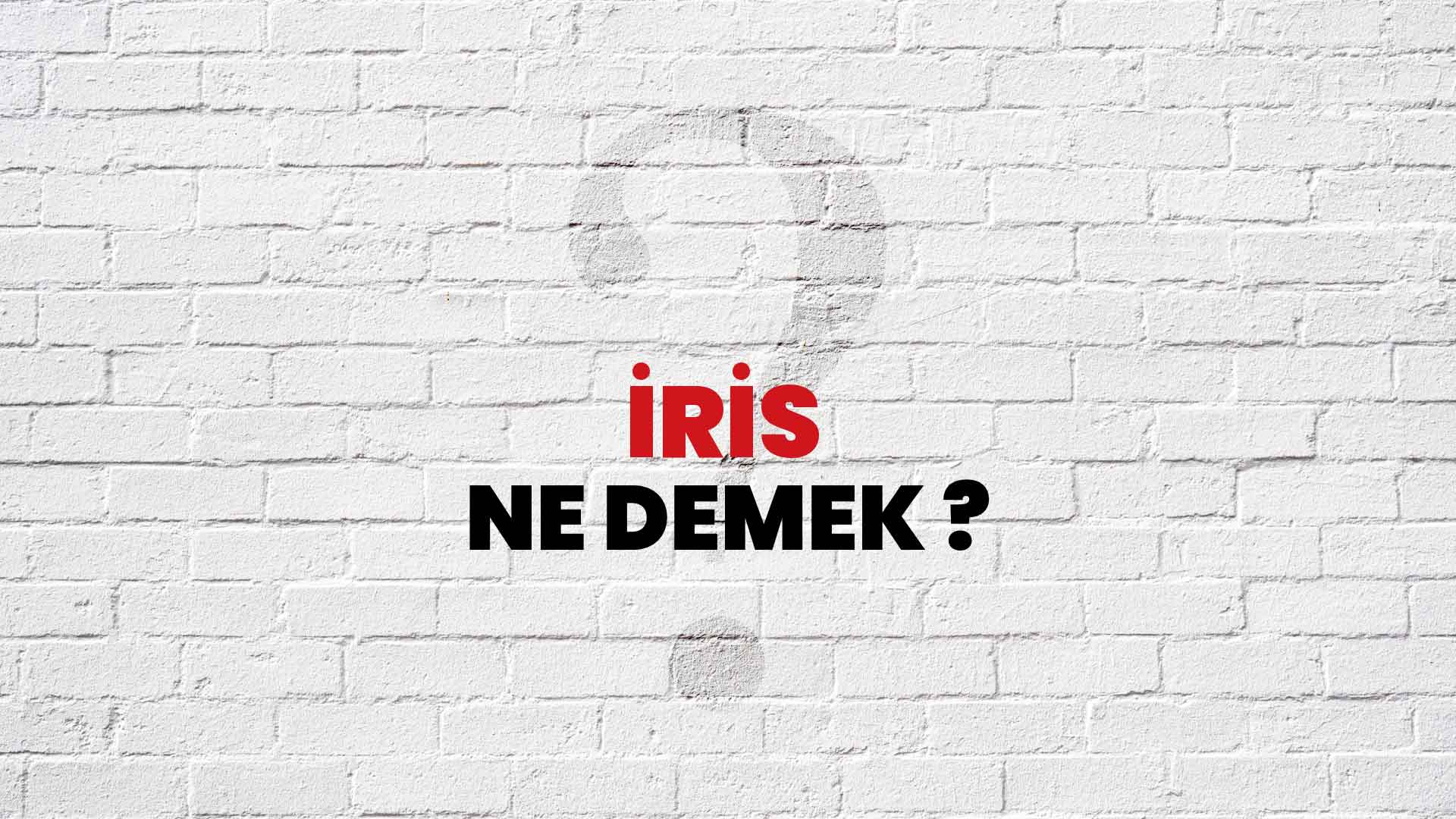 İris Ne Demek, Ne Anlama Gelir? İris Kelimesi TDK Sözlük Anlamı Nedir?