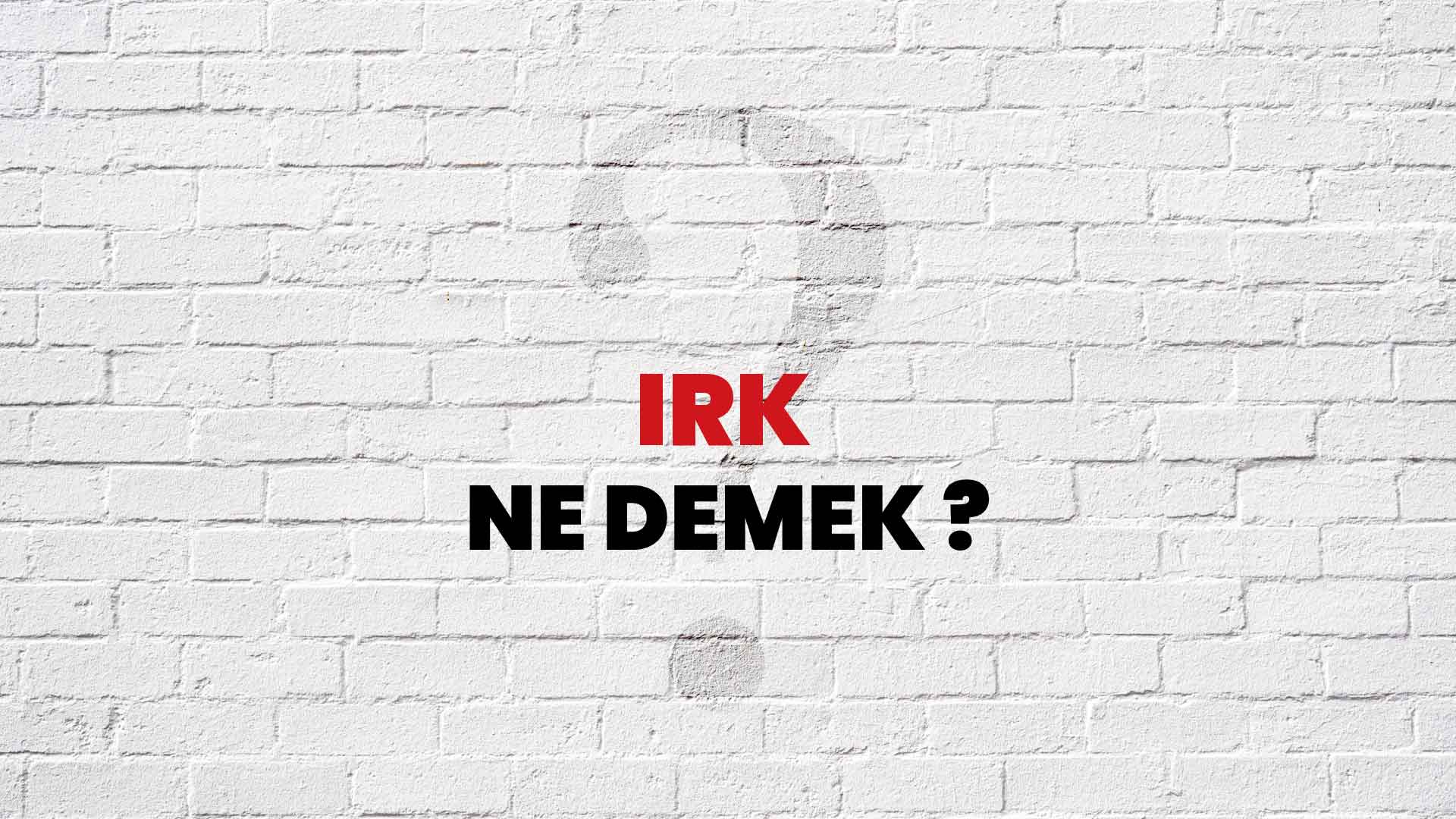 irk-ne-demek-ne-anlama-gelir-irk-kelimesi-tdk-s-zl-k-anlam-nedir