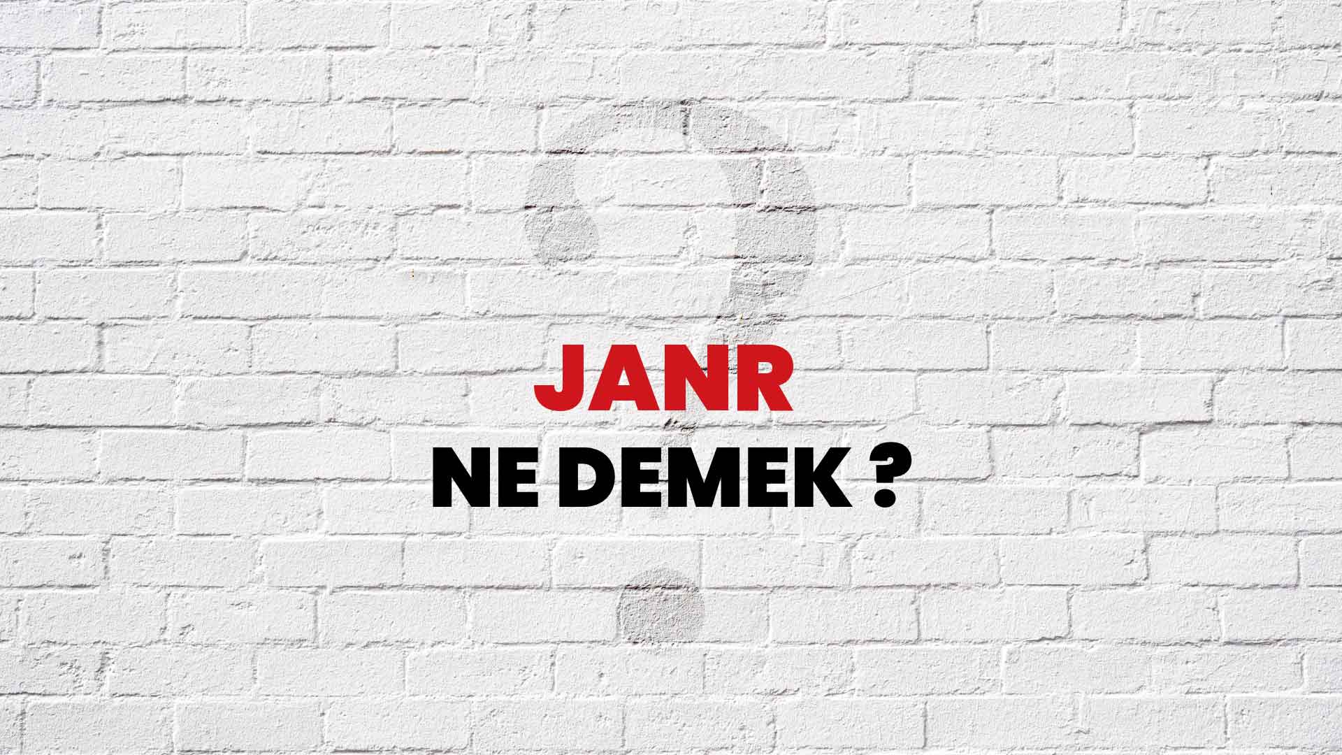 Janr Ne Demek, Ne Anlama Gelir? Janr Kelimesi TDK Sözlük Anlamı Nedir?