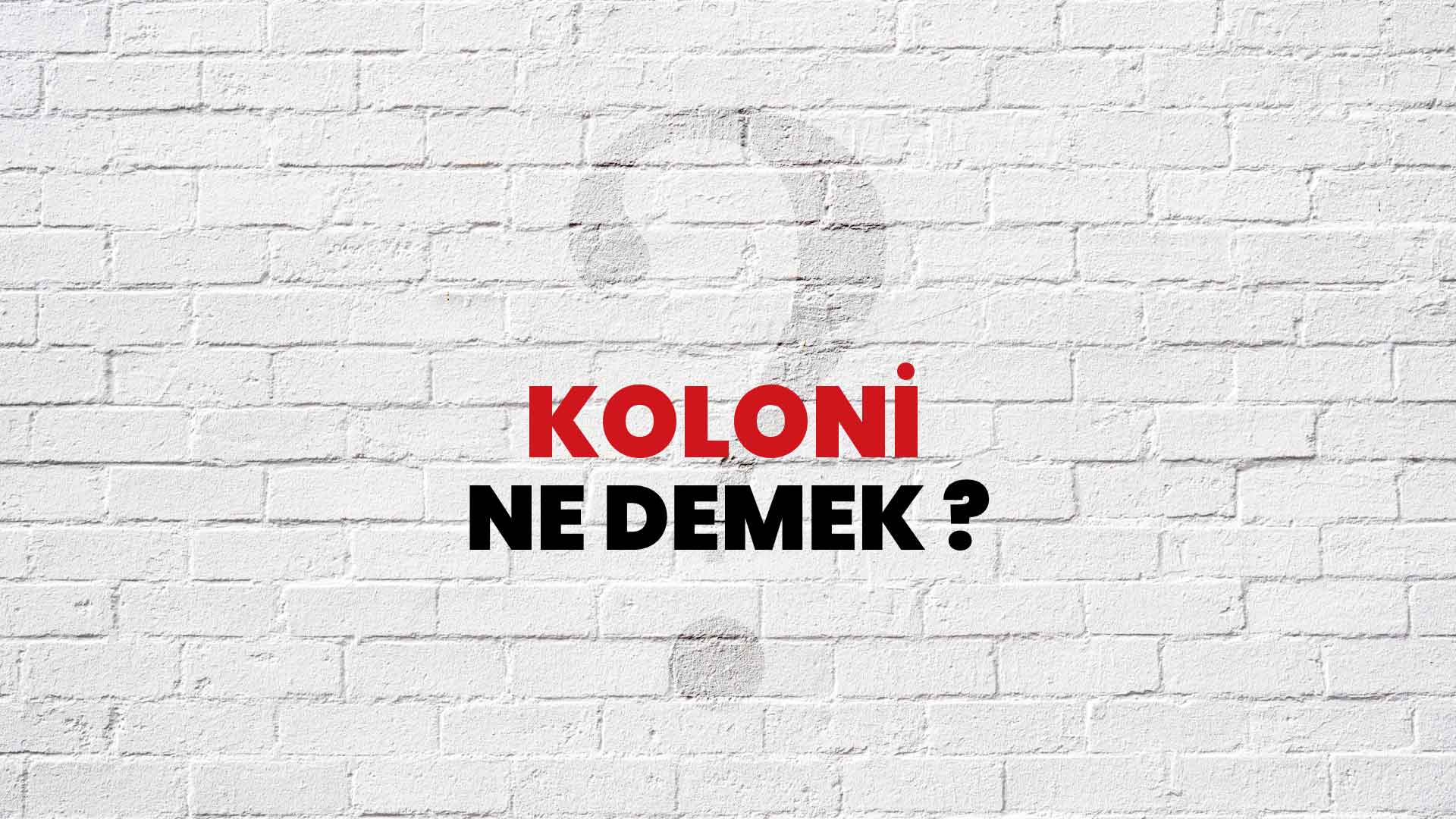 Koloni Ne Demek, Ne Anlama Gelir? Koloni Kelimesi TDK Sözlük Anlamı Nedir?