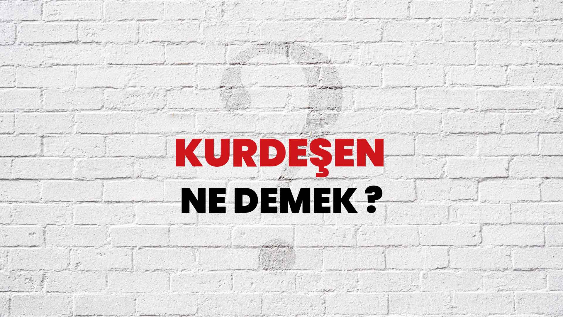 Kurdeşen Ne Demek, Ne Anlama Gelir? Kurdeşen Kelimesi TDK Sözlük Anlamı Nedir?