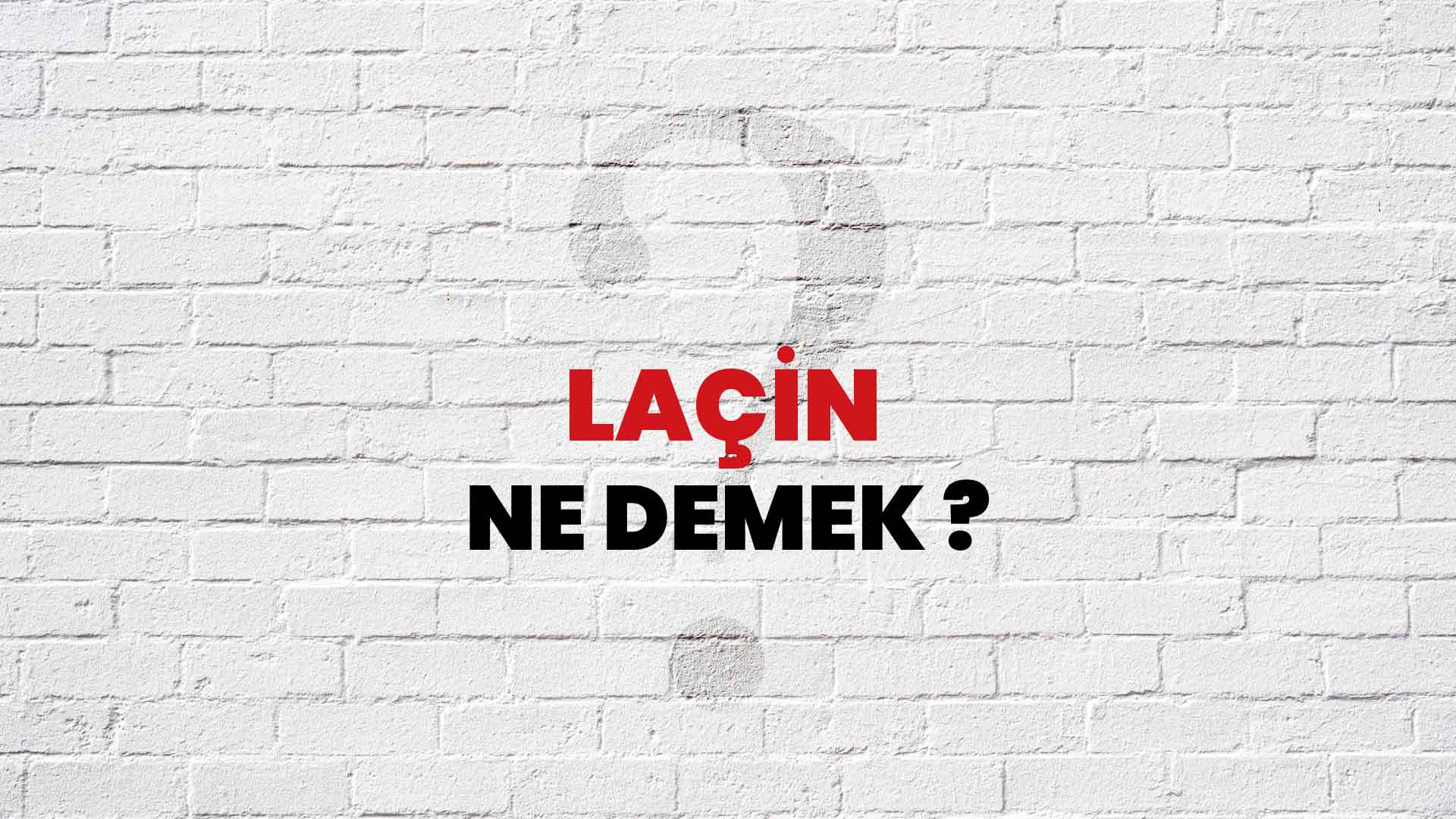 Laçin Ne Demek, Ne Anlama Gelir? Laçin Kelimesi TDK Sözlük Anlamı Nedir?