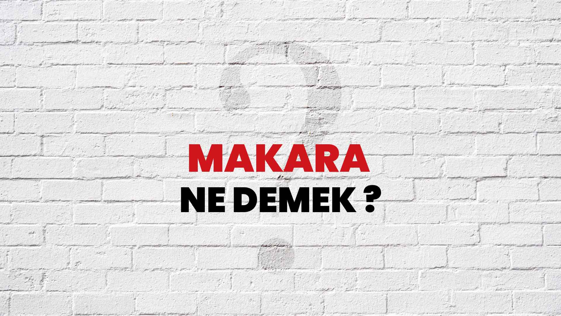 Makara Ne Demek, Ne Anlama Gelir? Makara Kelimesi TDK Sözlük Anlamı Nedir?