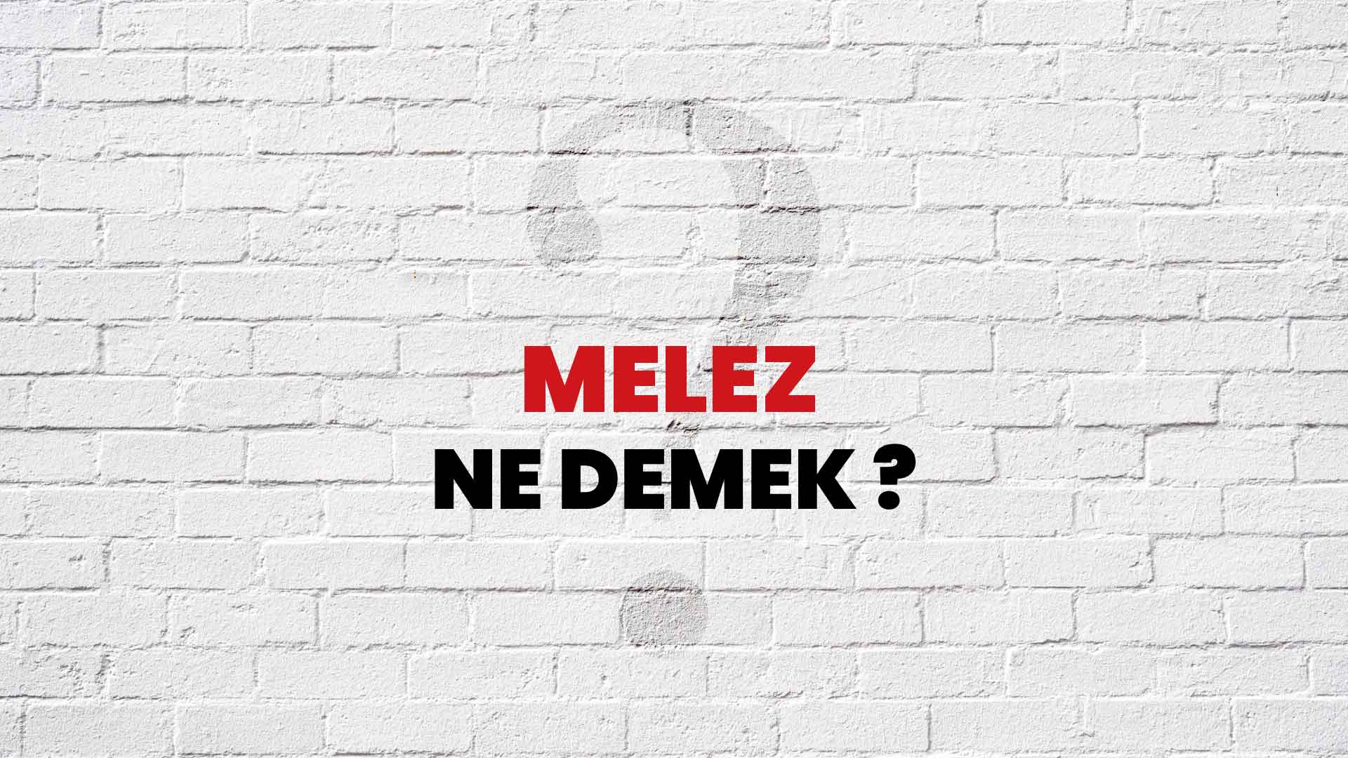 Melez Ne Demek, Ne Anlama Gelir? Melez Kelimesi TDK Sözlük Anlamı Nedir?