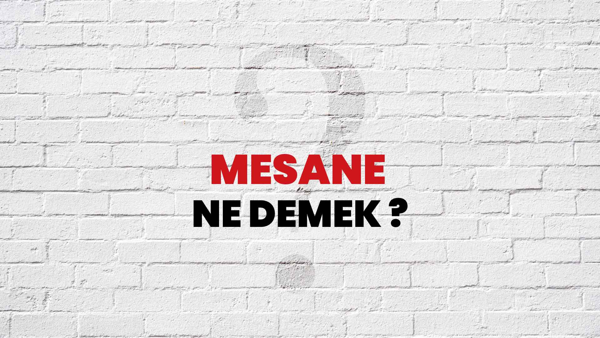 Mesane Ne Demek, Ne Anlama Gelir? Mesane Kelimesi TDK Sözlük Anlamı Nedir?