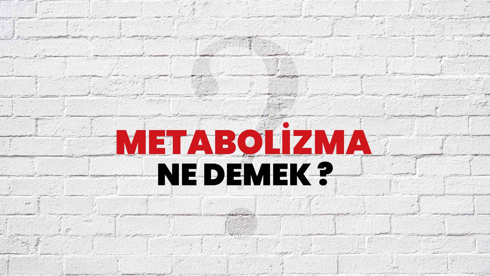 Metabolizma Ne Demek, Ne Anlama Gelir? Metabolizma Kelimesi TDK Sözlük Anlamı Nedir?