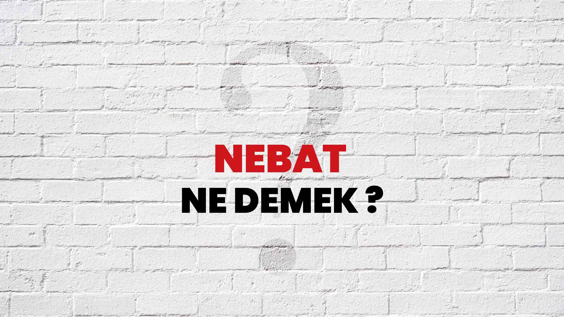 Nebat Ne Demek, Ne Anlama Gelir? Nebat Kelimesi TDK Sözlük Anlamı Nedir?