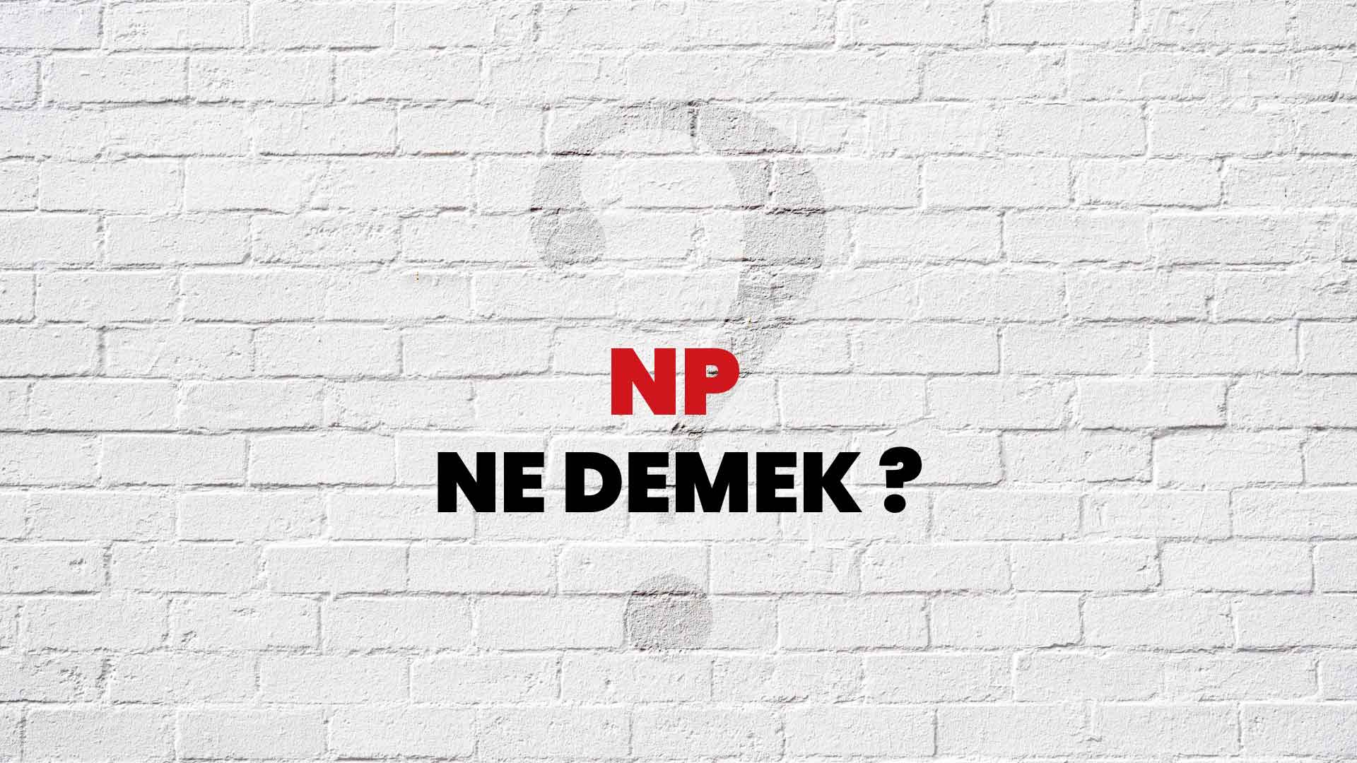 Np Ne Demek, Ne Anlama Gelir? Np Kelimesi TDK Sözlük Anlamı Nedir?