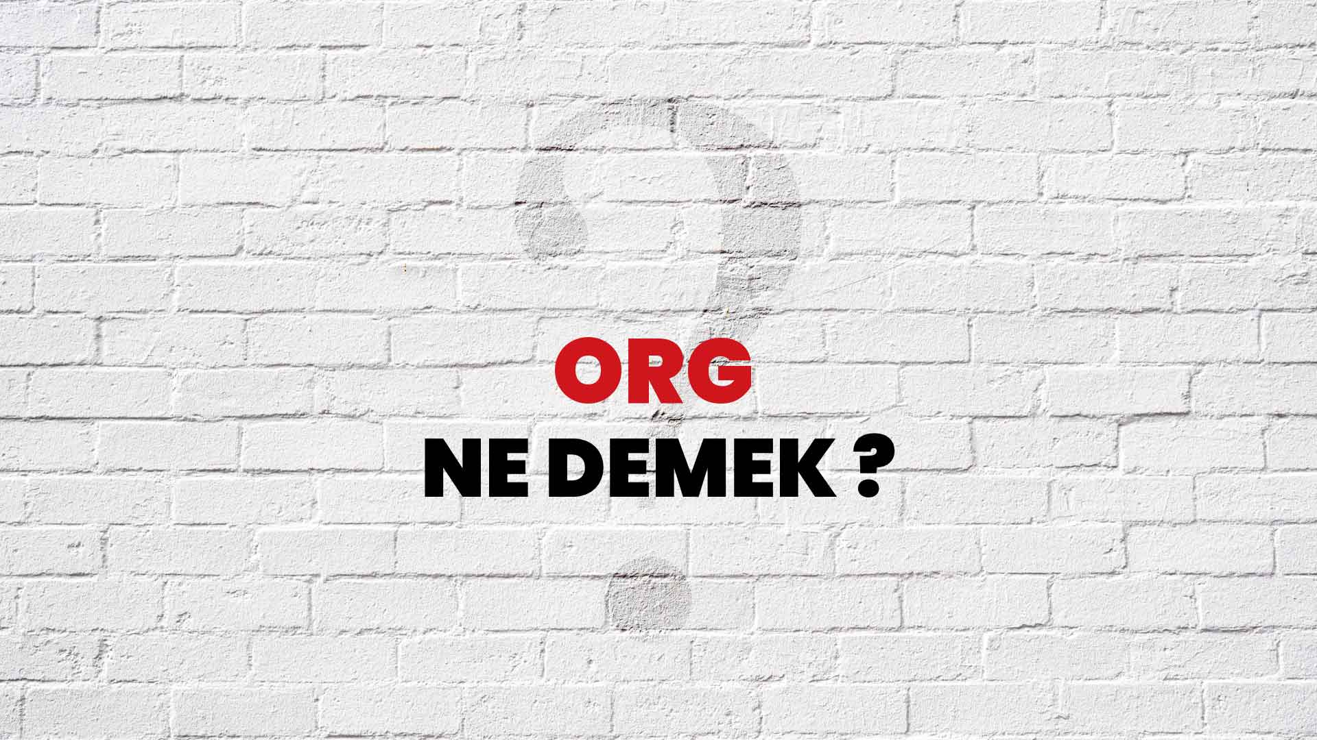 Org Ne Demek Ne Anlama Gelir Org Kelimesi TDK S zl k Anlam Nedir 