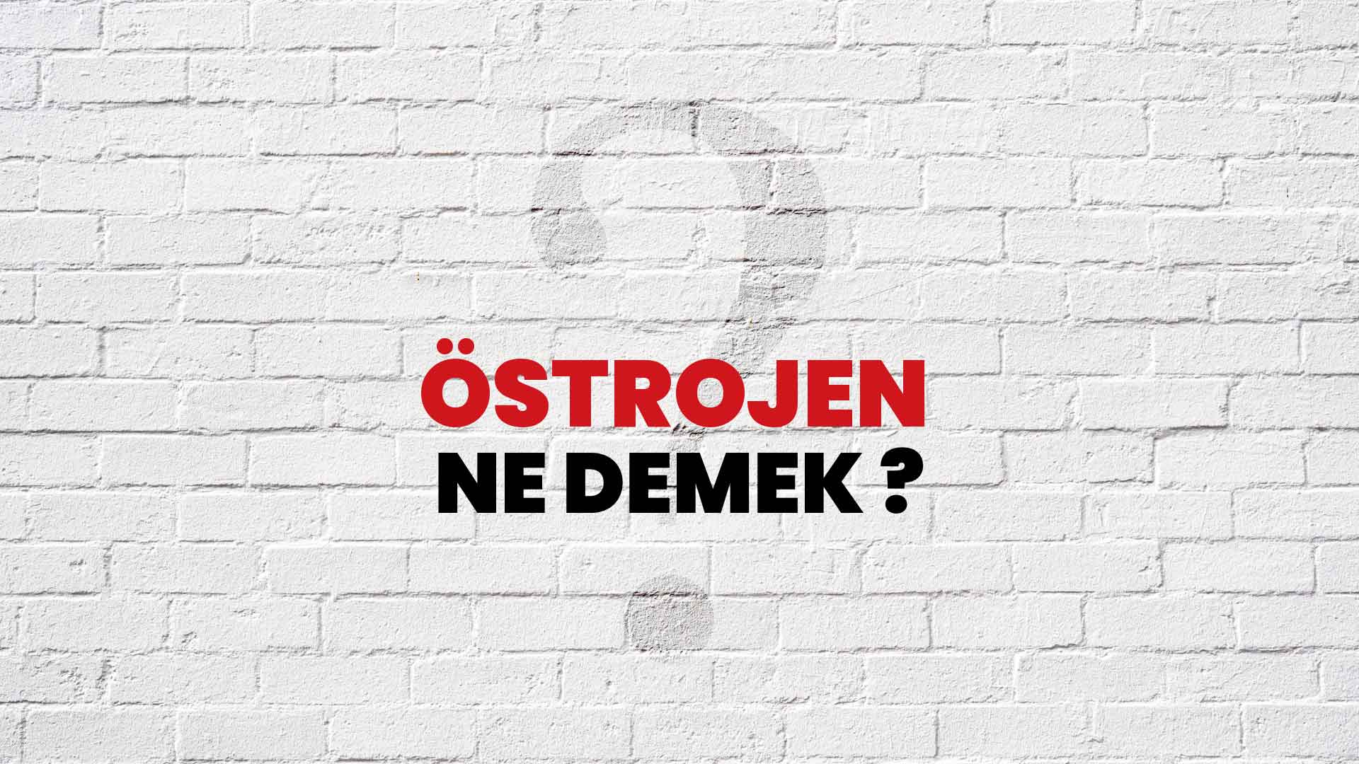 Östrojen Ne Demek, Ne Anlama Gelir? Östrojen Kelimesi TDK Sözlük Anlamı Nedir?