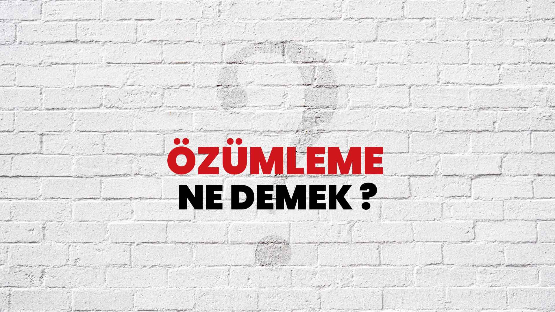 Özümleme Ne Demek, Ne Anlama Gelir? Özümleme Kelimesi TDK Sözlük Anlamı Nedir?