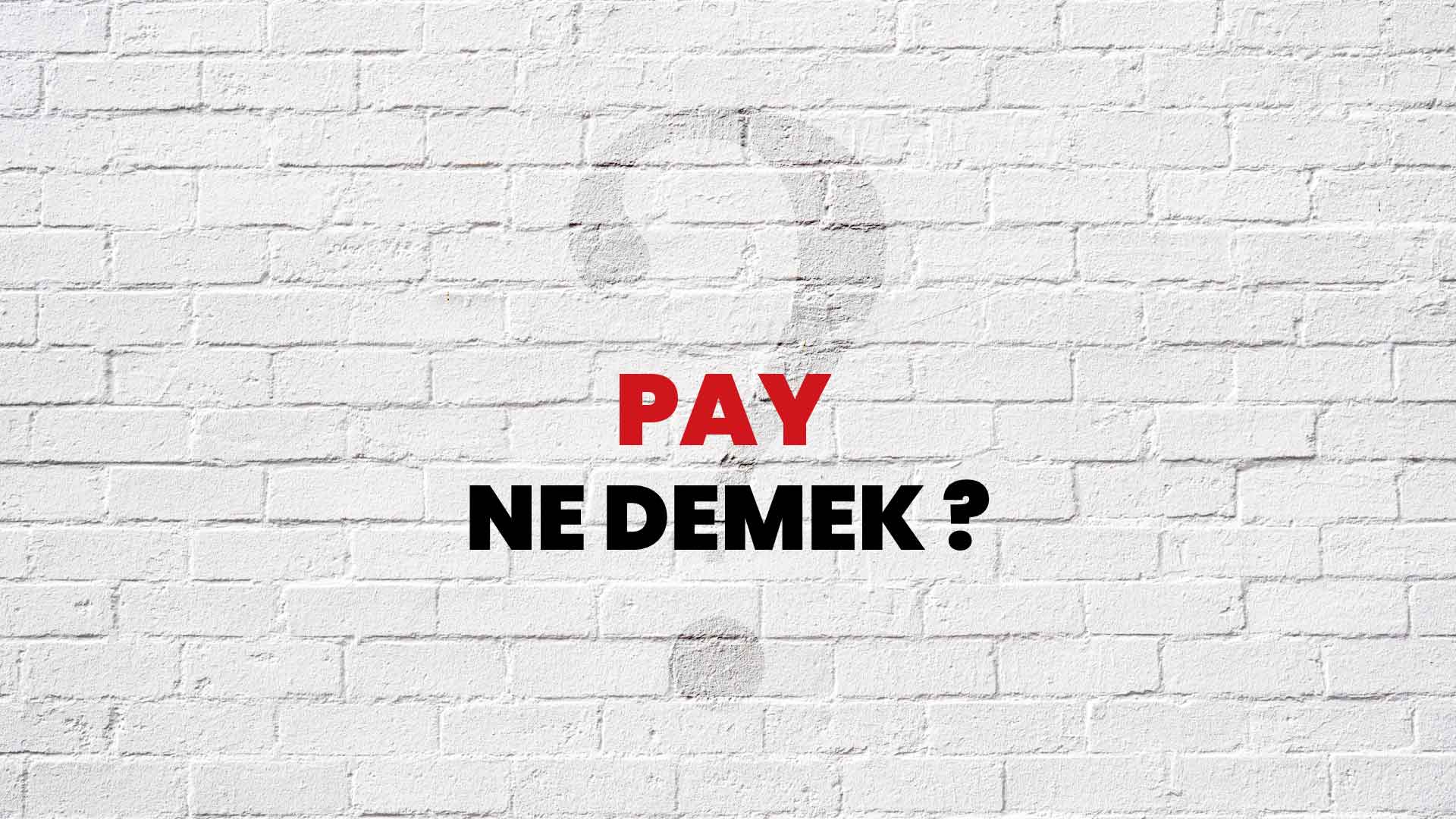 Pay Ne Demek Ne Anlama Gelir Pay Kelimesi TDK S zl k Anlam Nedir 