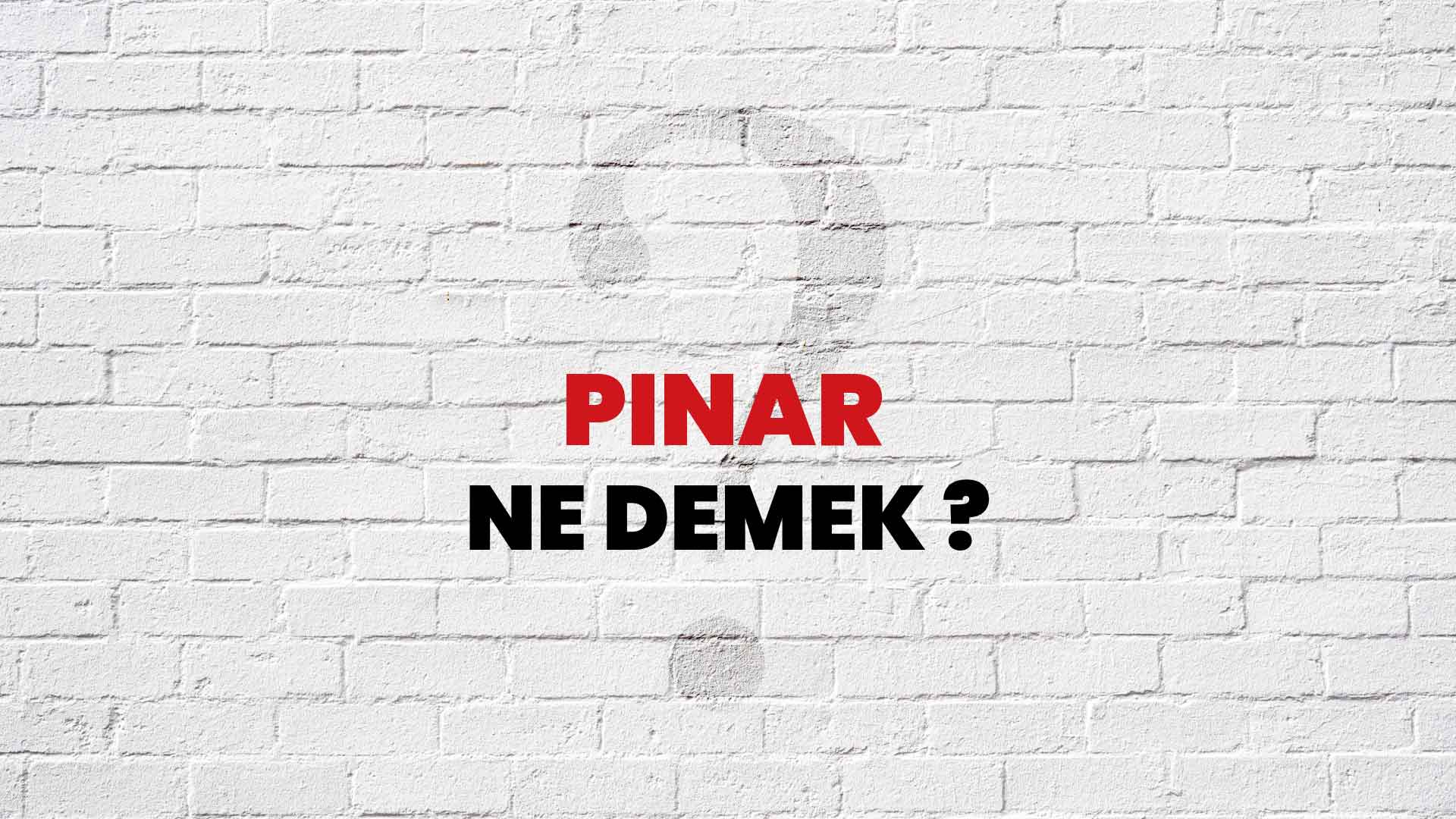 Pınar Ne Demek, Ne Anlama Gelir? Pınar Kelimesi TDK Sözlük Anlamı Nedir?