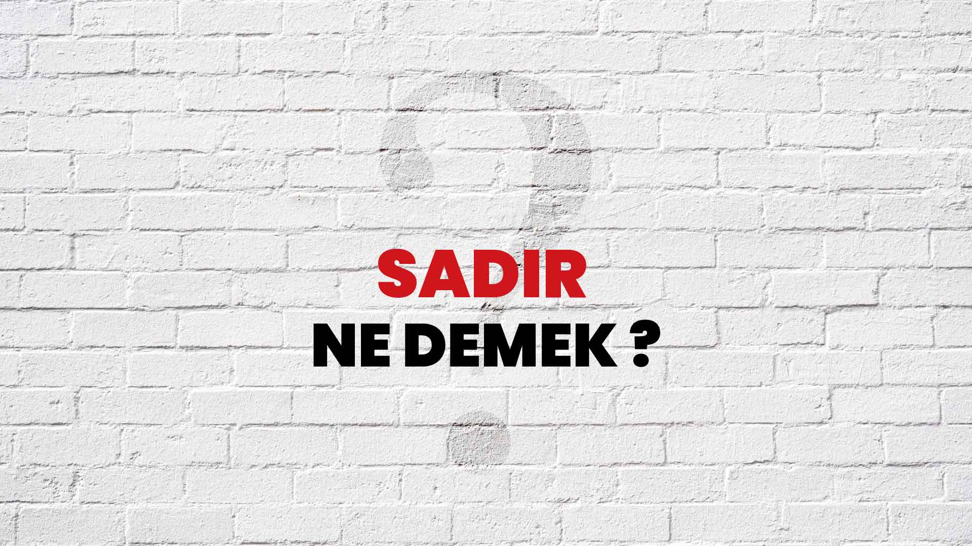 Sadır Ne Demek, Ne Anlama Gelir? Sadır Kelimesi TDK Sözlük Anlamı Nedir?