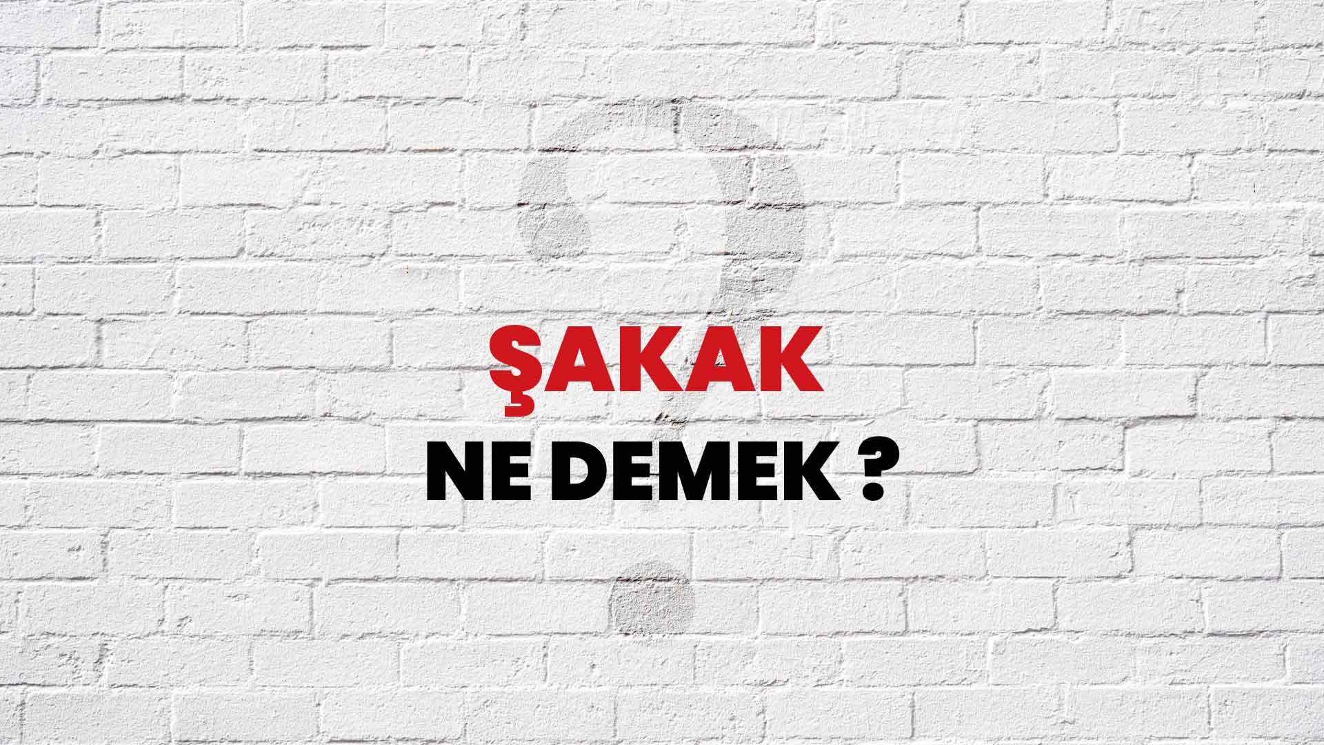Şakak Ne Demek, Ne Anlama Gelir? Şakak Kelimesi TDK Sözlük Anlamı Nedir?
