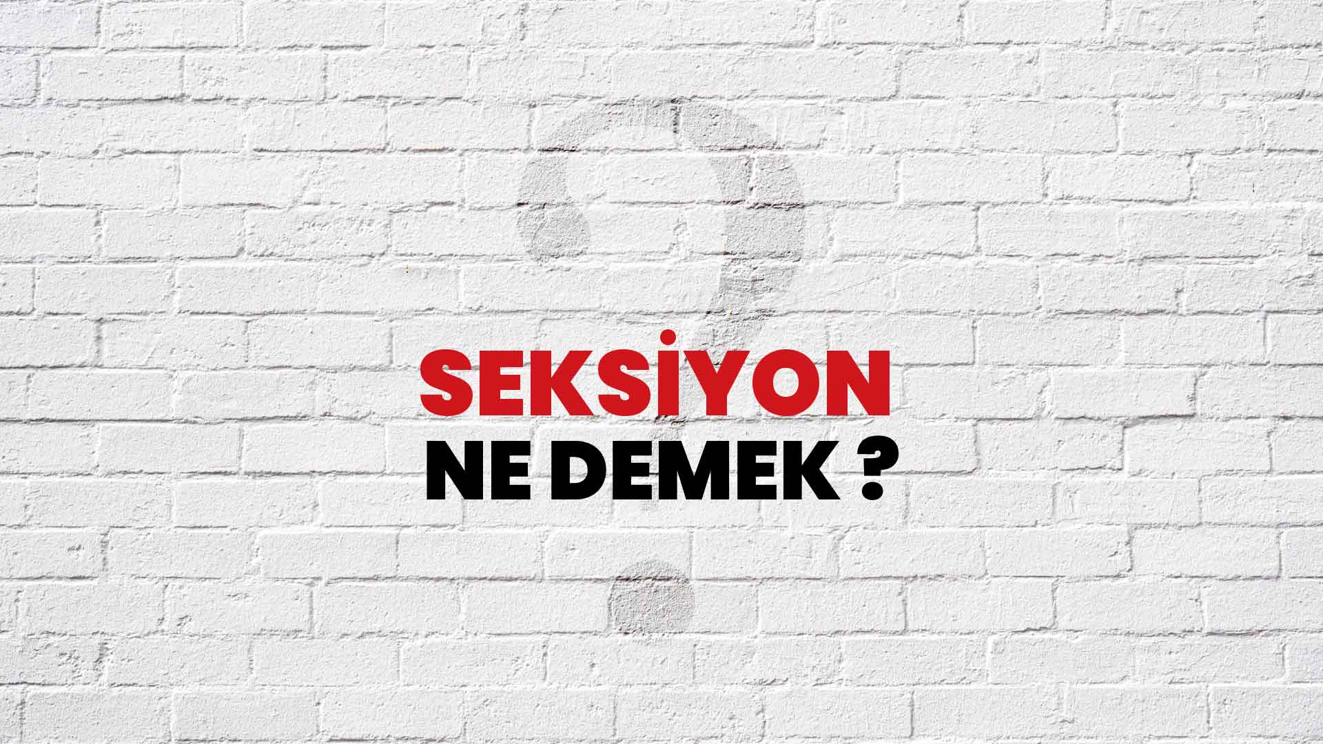 seksiyon-ne-demek-ne-anlama-gelir-seksiyon-kelimesi-tdk-s-zl-k-anlam