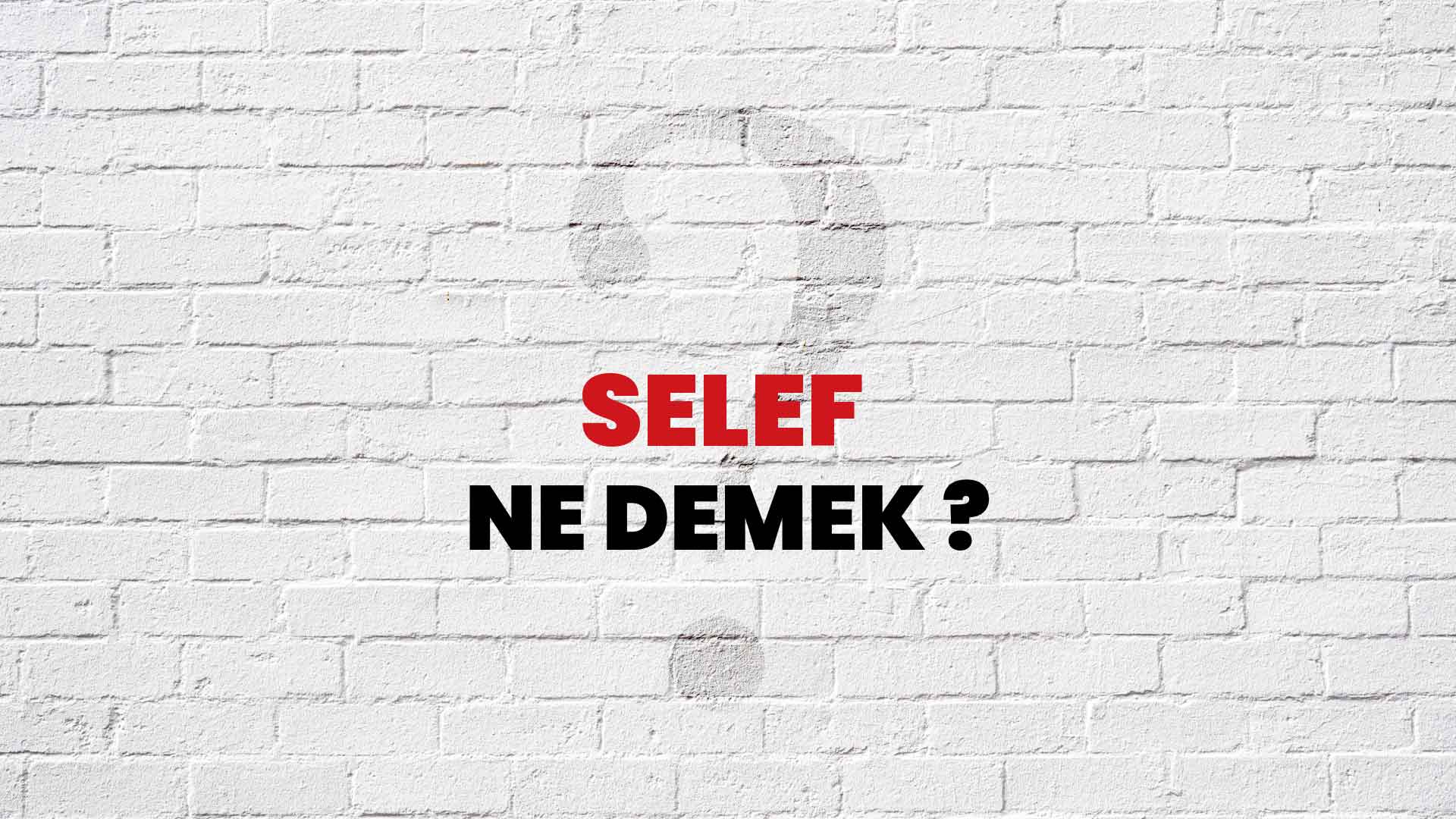 Selef Ne Demek, Ne Anlama Gelir? Selef Kelimesi TDK Sözlük Anlamı Nedir?