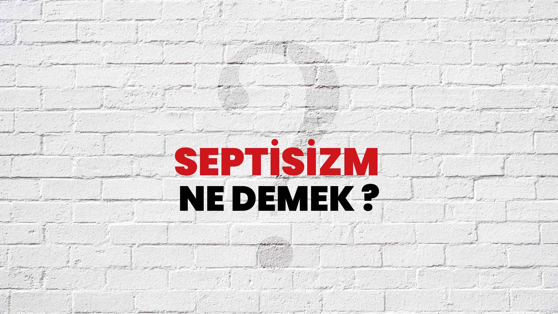 Septisizm Ne Demek, Ne Anlama Gelir? Septisizm Kelimesi TDK Sözlük Anlamı Nedir?