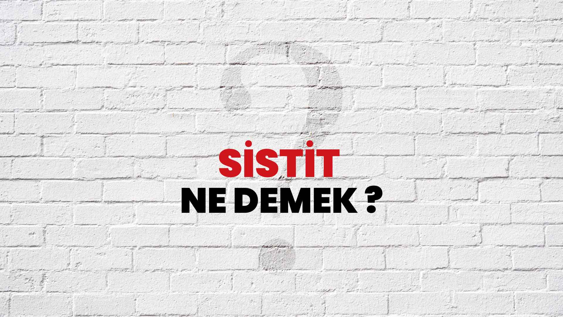 sistit-ne-demek-ne-anlama-gelir-sistit-kelimesi-tdk-s-zl-k-anlam