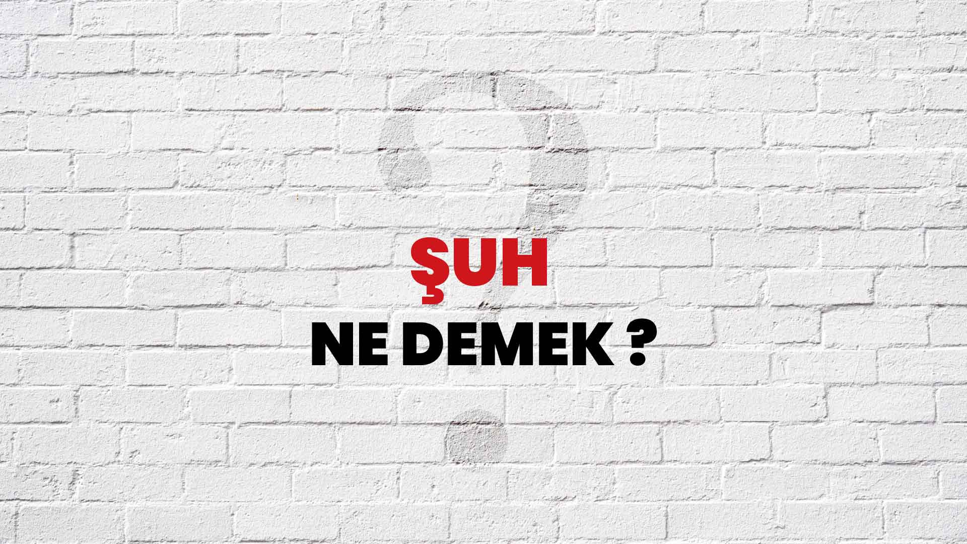 Şuh Ne Demek, Ne Anlama Gelir? Şuh Kelimesi TDK Sözlük Anlamı Nedir?