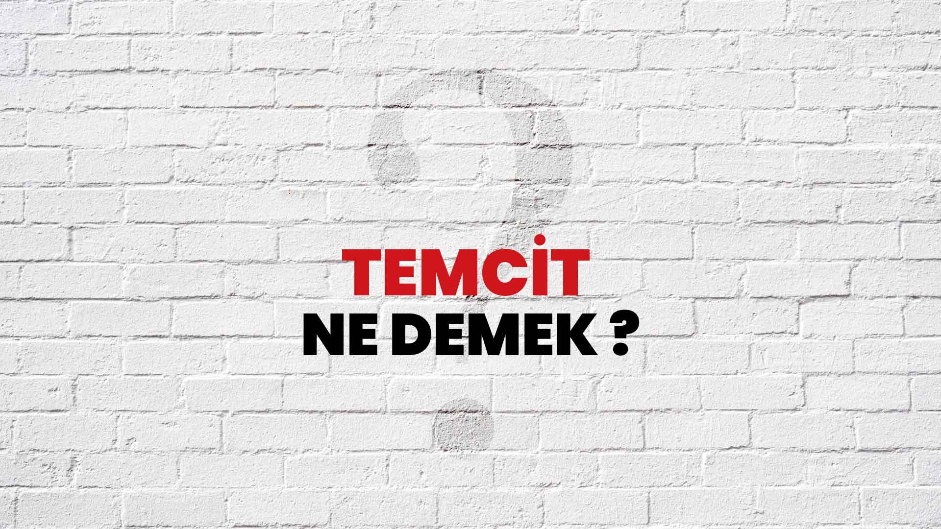 Temcit Ne Demek, Ne Anlama Gelir? Temcit Kelimesi TDK Sözlük Anlamı Nedir?