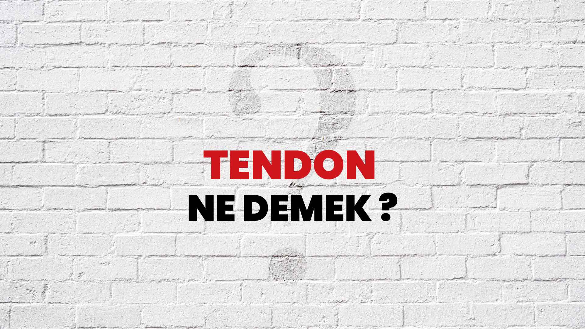 Tendon Ne Demek, Ne Anlama Gelir? Tendon Kelimesi TDK Sözlük Anlamı Nedir?