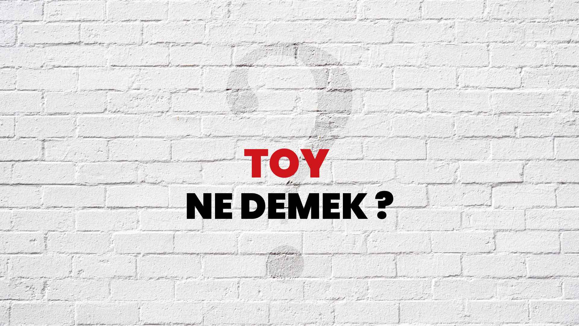 Toy Ne Demek, Ne Anlama Gelir? Toy Kelimesi TDK Sözlük Anlamı Nedir?
