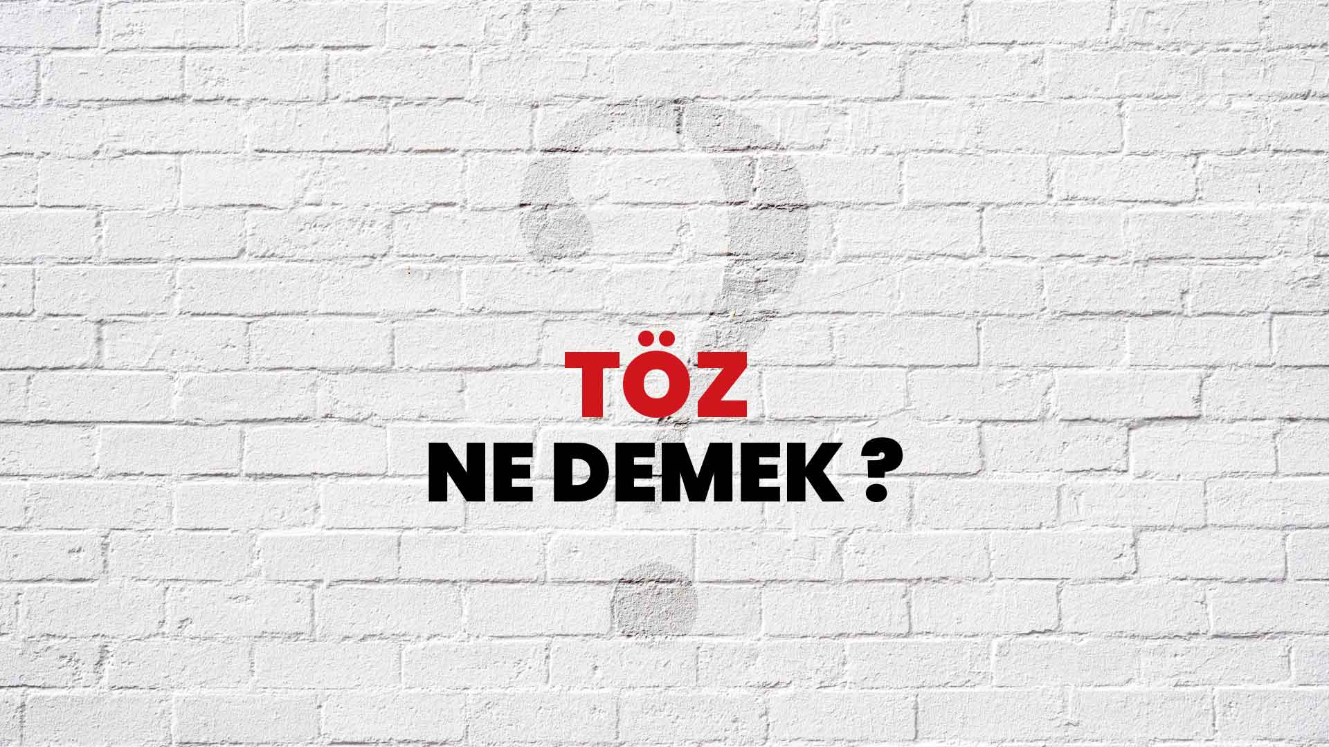 Töz Ne Demek, Ne Anlama Gelir? Töz Kelimesi TDK Sözlük Anlamı Nedir?