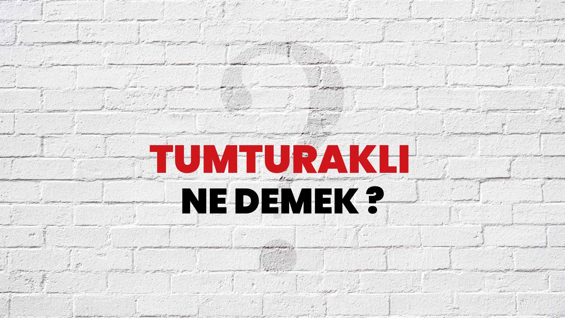 Tumturaklı Ne Demek, Ne Anlama Gelir? Tumturaklı Kelimesi TDK Sözlük Anlamı Nedir?