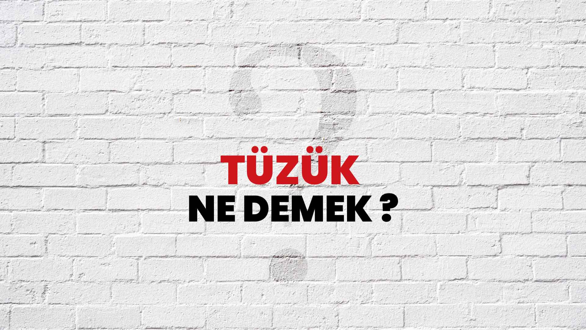 Tüzük Ne Demek, Ne Anlama Gelir? Tüzük Kelimesi TDK Sözlük Anlamı Nedir?