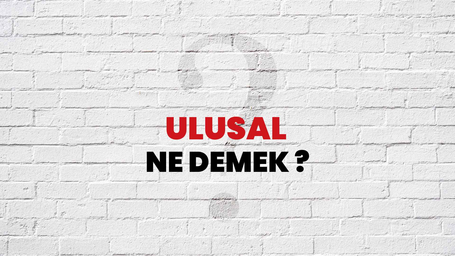 Ulusal politika ne demek?