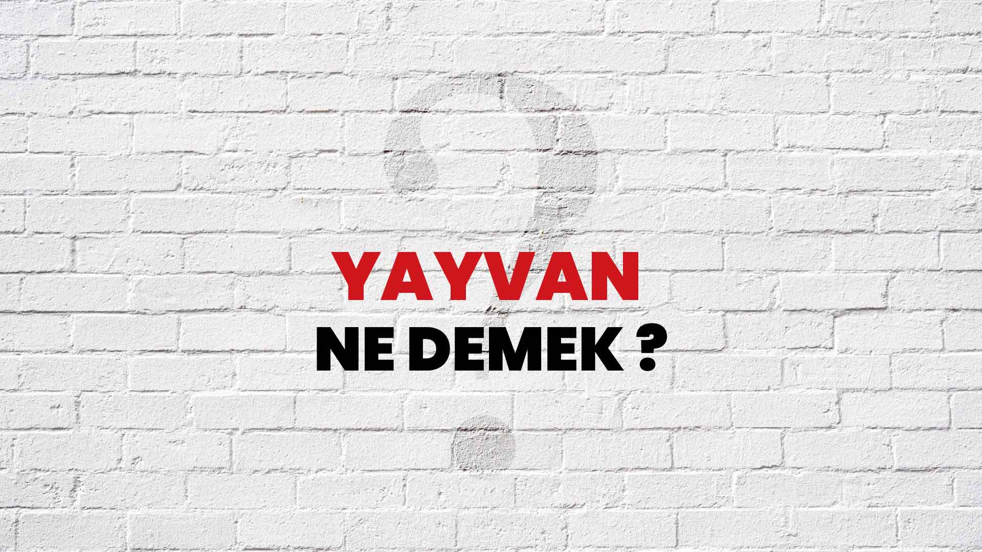 Yayvan Ne Demek, Ne Anlama Gelir? Yayvan Kelimesi TDK Sözlük Anlamı Nedir?