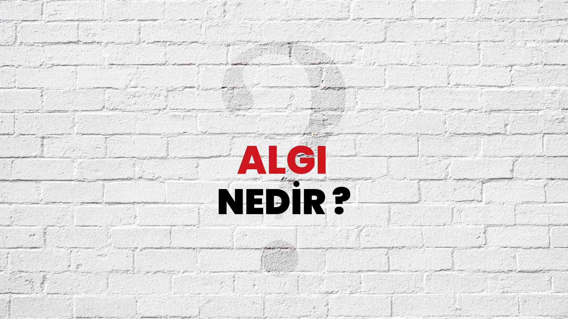 Algı nedir?