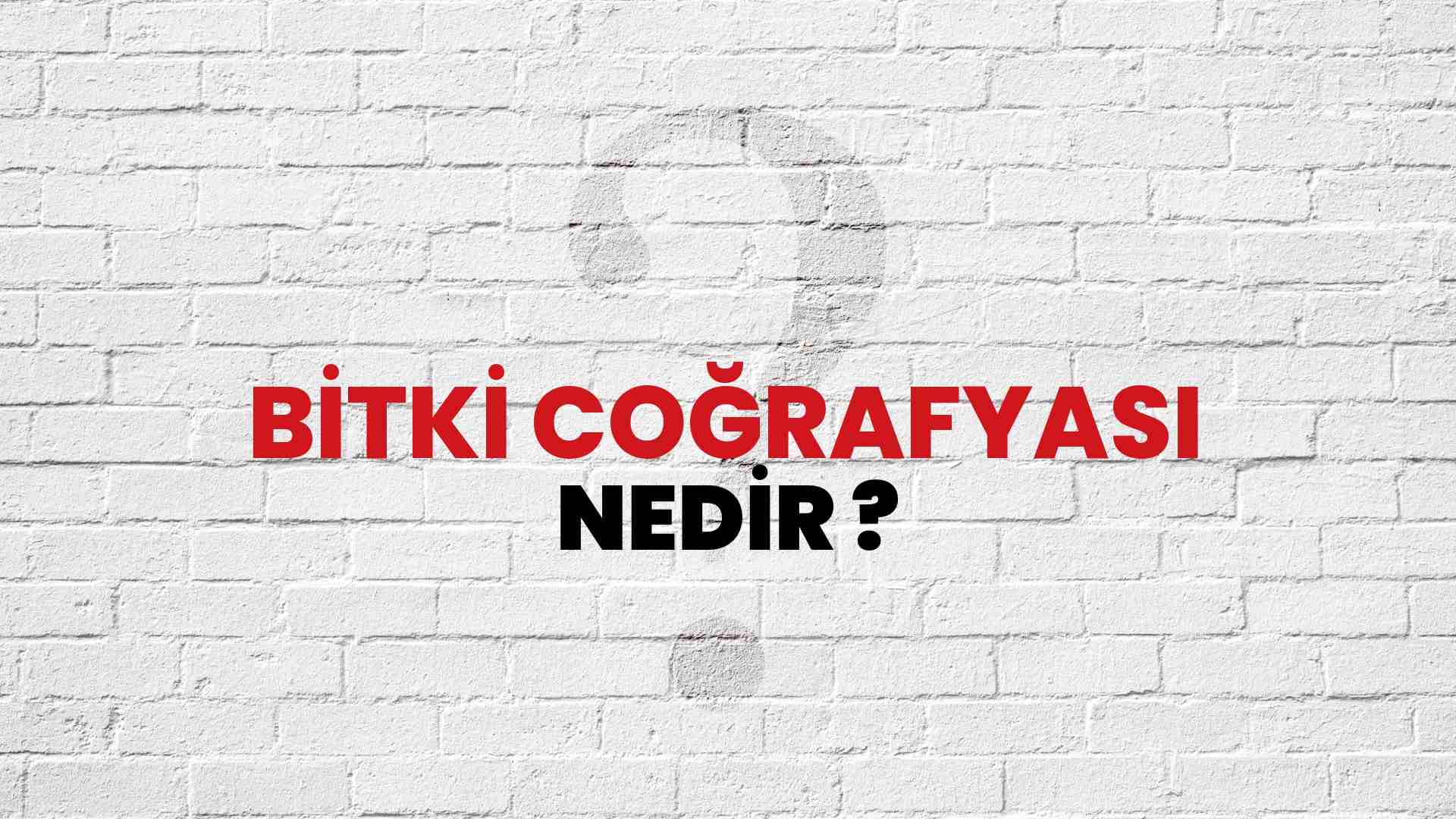Bitki Coğrafyası nedir?
