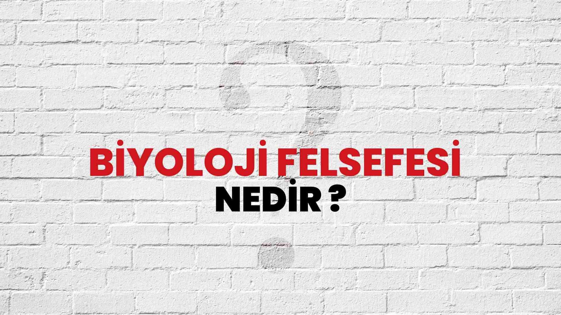 Biyoloji Felsefesi  nedir?